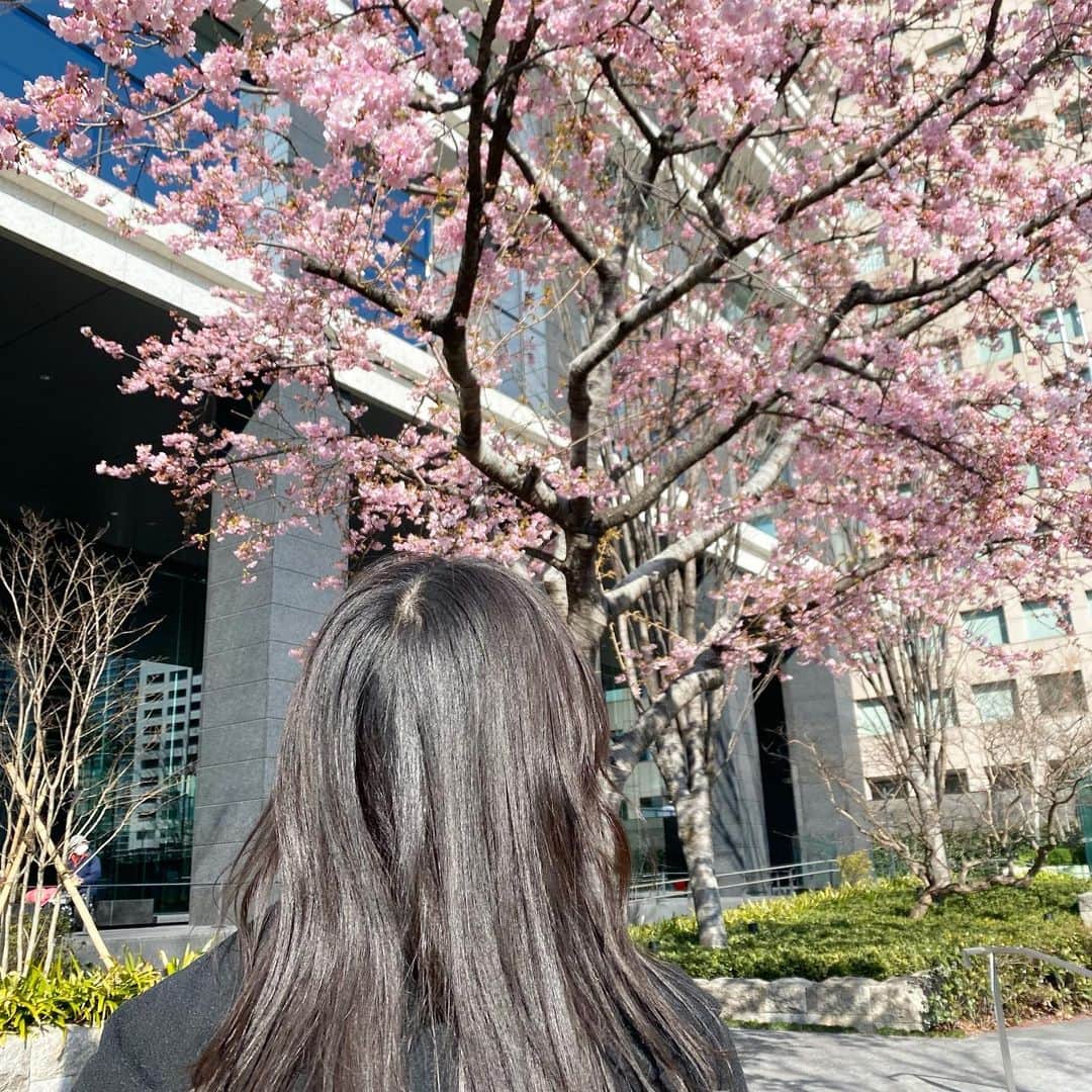 林芽亜里さんのインスタグラム写真 - (林芽亜里Instagram)「🎀 ⁡ お散歩中にちょっぴり早い春を見つけました🌸 ⁡ もう春なんて、、!!はやい!!はやすぎる!!笑 ⁡ ⁡ ⁡ ⁡ #林芽亜里」2月26日 18時09分 - meari__hayashi