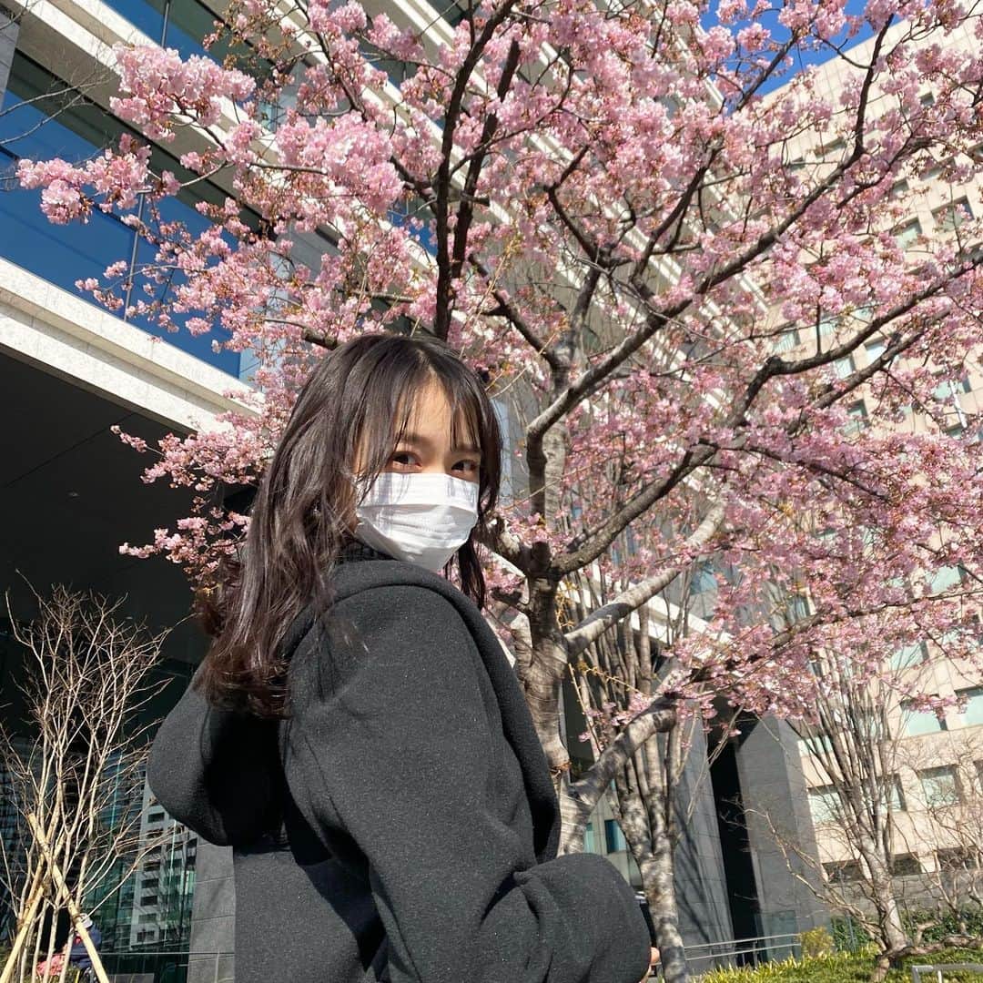林芽亜里さんのインスタグラム写真 - (林芽亜里Instagram)「🎀 ⁡ お散歩中にちょっぴり早い春を見つけました🌸 ⁡ もう春なんて、、!!はやい!!はやすぎる!!笑 ⁡ ⁡ ⁡ ⁡ #林芽亜里」2月26日 18時09分 - meari__hayashi