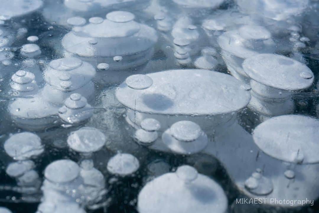 mikaestのインスタグラム：「Ice bubbles in Lake Nukabira 糠平湖のアイスバブル  実はちょいちょいやらかしてて笑 ここのアイスバブルもそのひとつ。 ベストな日の夜に雪が降って、凍った湖面が 一面の雪原になってしまってから行きました😂😂 なので、デッキブラシを持参して、 『掃いて掃いて掃きまくれ！ヤップ！ヤップ！ アイスバブルを見つけ出せ！第一回"大"宝探し大会』 に参加してきました🧹笑  #ネーミングセンスのなさ  アイスバブルって面白いなぁ、 上のバブルの影が可愛いなぁ、などと思いながら 湖面上でゴロゴロしていました🤭 ちなみに水玉やイクラなど、球体が嫌いなので 撮影はそこそこ早めに切り上げましたw  Camera : Nikon Z7 Lens : Nikkor Z 24-70mm f/2.8 VR S  #Zcreators #アイスバブル #糠平湖 #大雪山国立公園 #nationalparksjp」