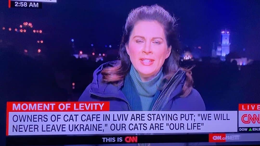 City the Kittyのインスタグラム：「Please send the awesome folks at the @catcafelviv in Ukraine lots of love. ❤️🐾  They need it now during these horrific and scary times when their country is being attacked by a cowardly and evil tryrant.  😾😾😾😾😾  #catcafelviv #lvivcat #ukrainecat #catsofukraine」