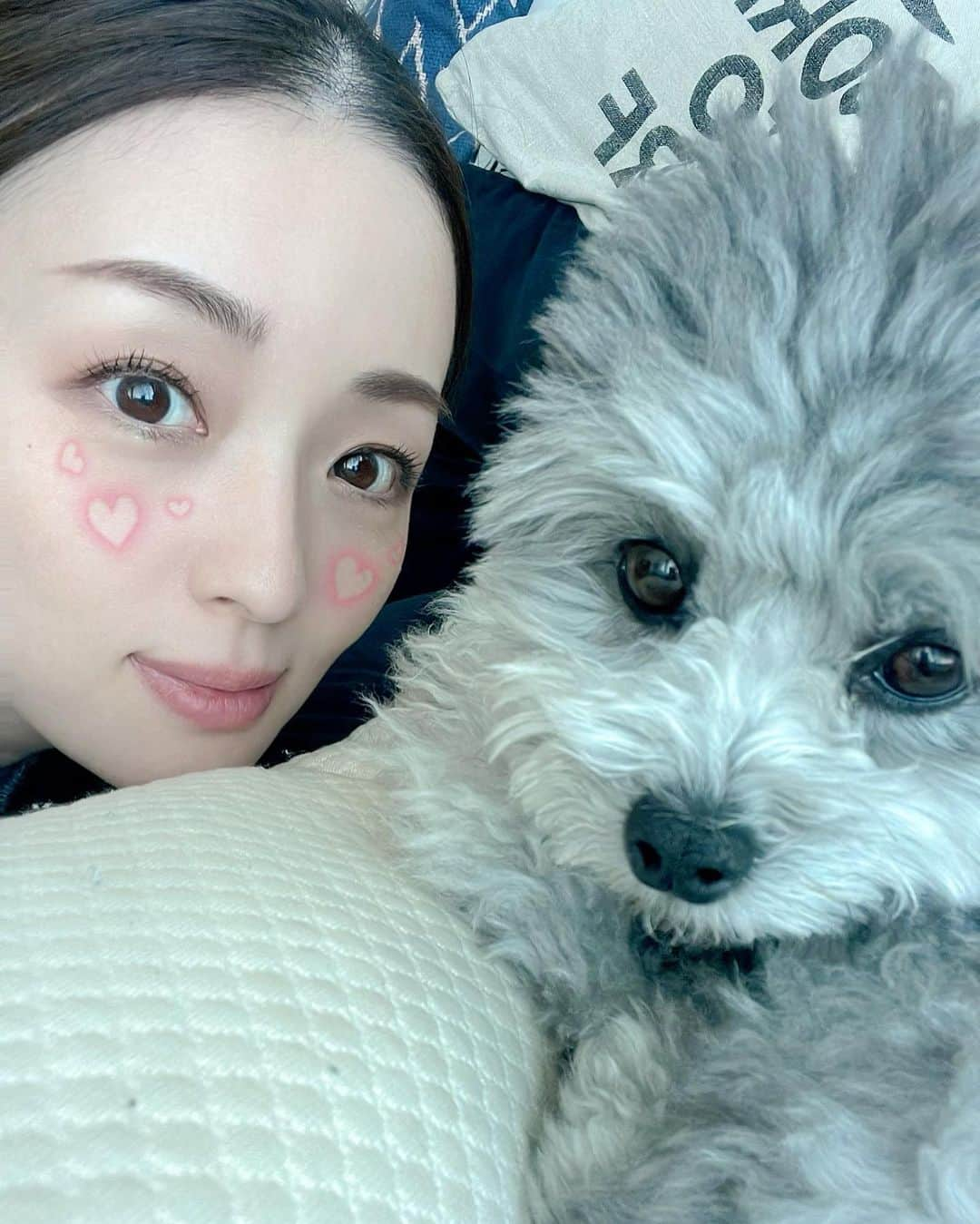 祥子のインスタグラム：「お久しぶりです。  もうすぐ春ですね🌸 春生まれの私は寒いのがとても苦手。 アウターの要らない季節が大好き♡ 早くコートなしで出掛けたい💓  愛犬のモコモコ具合がひどい😂 明日トリミングなのでスッキリするね☺️✂️ いつもお任せしているお店のお姉さんが大好きな愛犬小次郎くん🐶 明日会えるから楽しみだね💕 って話しかけてるのにずっと無視され続ける私。めげないよ♥️  #お久しぶりです #もうすぐ春 #spring #愛犬 #ポメプー」