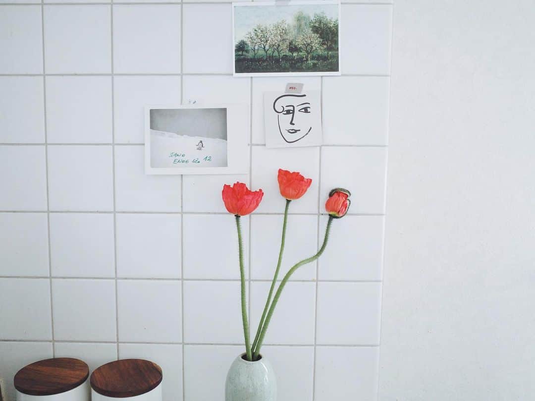 赤坂由梨のインスタグラム：「ㅤㅤㅤ  うねっとしてるのと毛が生えてるのがかわいいポピー 帰りにお花屋さんを覗くのが楽しい毎日です💐」
