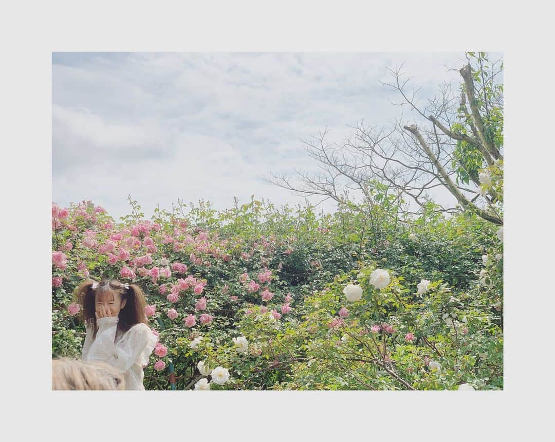 松本まりかのインスタグラム：「一旦一日一投稿はお休みしようかな。 三日に一投稿か週に一投稿か月一投稿かわからないけど。 少しペースを落として。  仕事をしない時間を作る。 自分に戻る時間を作る。 苦手なことを日課にする フォローしてくれている皆さんに..etc…  そんな思いで2022年元旦から始めた毎日投稿。 実は、早くも色んなことが変わりました。 仕事も自分も。 そんなことも含め、余裕が出来たらお話ししていこうかな。 春、春が来たら。  わたし、休みます。 何年か振りに、まとまって休もうと思ってます。 休みなんていらないと言い続け、頂ける仕事はありがたくて、全て出来ると思って、やりたいと思って、この数年無我夢中で走り続けて来ました。 そんな自分が休みを必要とするとは思ってもいませんでした。 この、環境が変わった4年が自分にとってどんなだったのか。 一回立ち止まって感じてみたい。  それまであとひと月半ほど。 持てるチカラ全てを今目の前の仕事に懸けて来ます。 また何かきっと変わると思う。  #nowar」