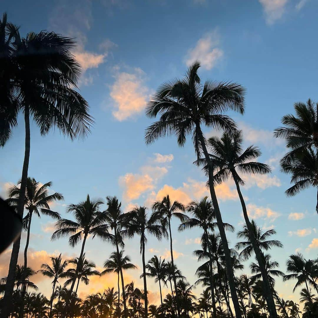 LYZYさんのインスタグラム写真 - (LYZYInstagram)「me & my best friends thriving🤙🏼💜🍋🌈」2月27日 13時26分 - lyzyadler