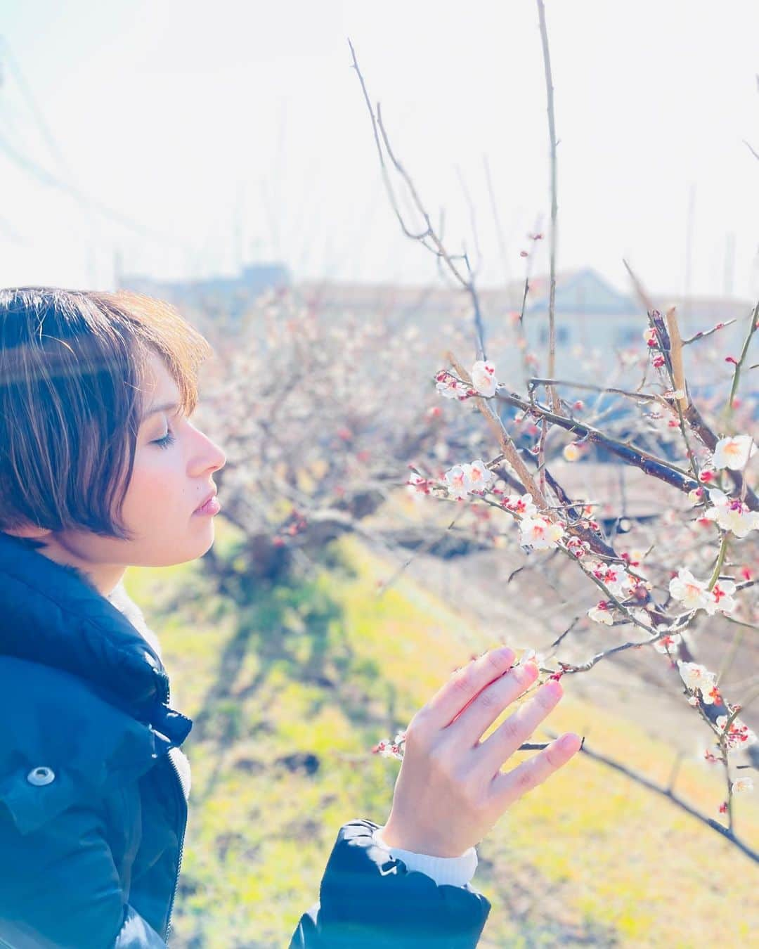 ERICAのインスタグラム：「【梅】 ⁡ 昨日は近所の梅が綺麗に花開していたから、府中郷土の森博物館の梅園に行くことにした！ ⁡ 野梅という品種は咲いているのが多かったけど、白加賀など別の品種は1分咲き、全体的にまだ蕾で見頃は来週かな〜という感じ。もしくは今日気温がぐんと上がるから一気に咲くのかもな♡ ⁡ でも梅園全体に梅の香りが広がって幸せな気分にひたれた🍀 ⁡ 福寿草はちょうど満開で、ミツバチがさっそく蜜を吸っててかわいい🐝あと遅咲きの素心蝋梅なども見頃🌼写真撮りそびれた😓 ⁡ ようやくの春の訪れが嬉しいこのごろ🥰 ⁡ あっという間に梅仕事の時期もやってくるんだろうな。 ⁡ そういえば先日辛夷(こぶし)の蕾を買ったんだけど、花瓶に入れたら数時間後に一つが開花、翌日次々に開花。暖かい部屋だったからかな。 ⁡ #梅 #梅の木 #梅の開花 #開花 #週末 #梅の香り #府中 #府中郷土の森 #花見 #梅園 #散歩 #府中郷土の森博物館 #春 #香り #公園 #梅の見頃 #蝋梅 #春 #辛夷 #花 #花のある暮らし」