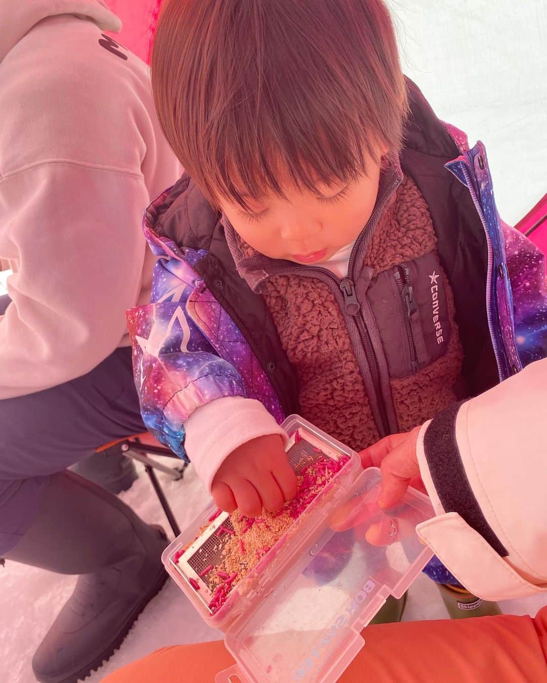 阪本智子さんのインスタグラム写真 - (阪本智子Instagram)「‪🎣‬♡  1つ目の初体験は#氷上ワカサギ釣り です🐟✨  念願の❕ 凍った湖面にドリルで自分で穴を開けるところからスタート💗  この時期の岩手ではなかなかないくらいの良い天気で☀️ テントの中はポカポカでした🎶  碧羽の面倒を見ながらだったのでなかなか集中は出来なかったけど😅💦  2時間ほどでちょこちょこ釣れたし、氷上でのワカサギ釣りは最高に楽しかったです😍‼️  碧羽は、 テントの外でお散歩したり、ソリに乗って遊んだり、ワカサギにおいでおいでしたり、よしよししたり、ワカサギにんーま😘をしたり楽しそうでした🎶  ワカサギだけじゃなく紅サシも好きだったようで😮何度も触れ合っていましたよ🤣 さすがに紅サシへの、んーま😘は止めましたが✋笑  次行く時は碧羽も竿を持てるかな😆‪🎣‬？  お世話になった皆さん本当にありがとうございました😭🙏✨  #iwate #onice #onicesports #fishingwear #marqleen #oceanpacific #岩手 #岩手旅行 #岩洞湖 #岩手釣り #子連れ釣り #ワカサギ釣り #釣り #釣りウェア #スノーウェア #男の子ママ #阪本智子」2月27日 9時04分 - tomoko_sakamoto423