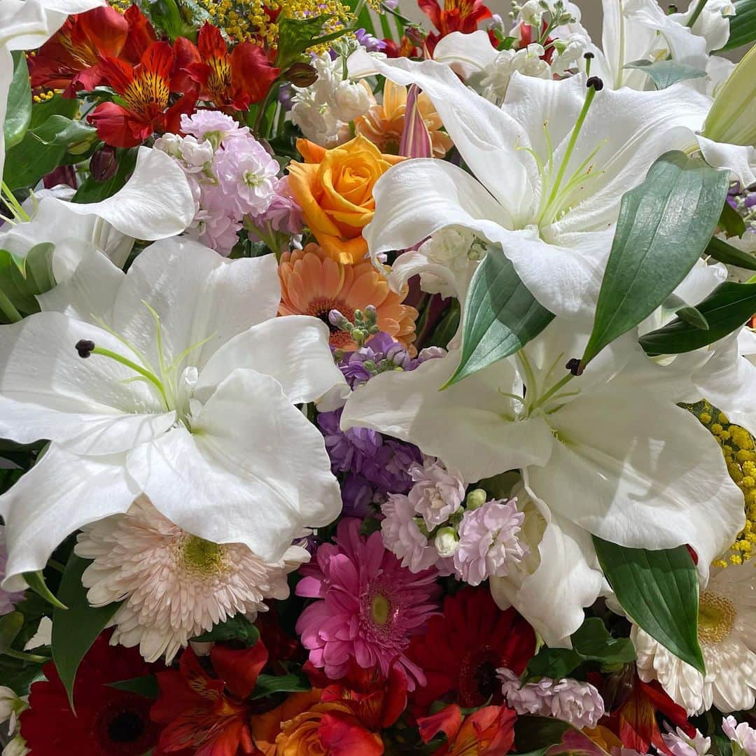 宇井真白のインスタグラム：「💐」