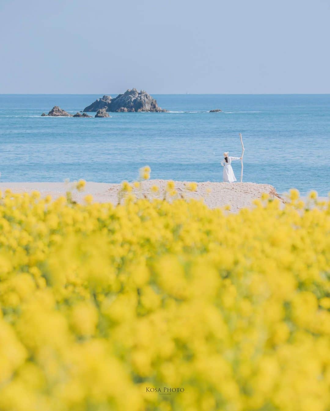 コサさんのインスタグラム写真 - (コサInstagram)「春の陽気  菜の花と海が見える素敵なロケーション😍 ストーリーを見て頂けるとわかりますが、声も届かない超望遠ポトレです 菜の花のビタミンカラーはパワーをもらえますね💪 . Location:愛知 Aichi / Japan🇯🇵 Date:2022年2月 Camera:Z9 /60-600mm . #菜の花 #海 #Japan_Daytime_View #s_shot #ポトレ撮影隊 #jp_mood #その瞬間は永遠の思い出 #jp_portrait部 #何気ない瞬間を残したい #good_portraits_world #jp_portrait_collection #season_girls_collection #reco_ig #白紙の1ページ #iedemo_graphy #screen_archive #as_archive #月刊8月のクリスマス #todays_blue_collection #みんなの青のストーリー  #tokyocameraclub #art_of_japan_ #team_jp_ #photo_jpn #sorakataphoto #LBJ_KING #mst_member #広がり同盟メンバー #special_spot_legend #木漏れ日に重ねる青のストーリー」2月28日 7時16分 - kosa_photo