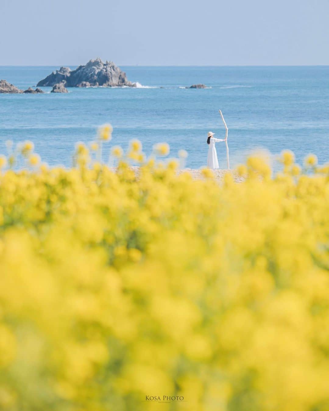 コサさんのインスタグラム写真 - (コサInstagram)「春の陽気  菜の花と海が見える素敵なロケーション😍 ストーリーを見て頂けるとわかりますが、声も届かない超望遠ポトレです 菜の花のビタミンカラーはパワーをもらえますね💪 . Location:愛知 Aichi / Japan🇯🇵 Date:2022年2月 Camera:Z9 /60-600mm . #菜の花 #海 #Japan_Daytime_View #s_shot #ポトレ撮影隊 #jp_mood #その瞬間は永遠の思い出 #jp_portrait部 #何気ない瞬間を残したい #good_portraits_world #jp_portrait_collection #season_girls_collection #reco_ig #白紙の1ページ #iedemo_graphy #screen_archive #as_archive #月刊8月のクリスマス #todays_blue_collection #みんなの青のストーリー  #tokyocameraclub #art_of_japan_ #team_jp_ #photo_jpn #sorakataphoto #LBJ_KING #mst_member #広がり同盟メンバー #special_spot_legend #木漏れ日に重ねる青のストーリー」2月28日 7時16分 - kosa_photo
