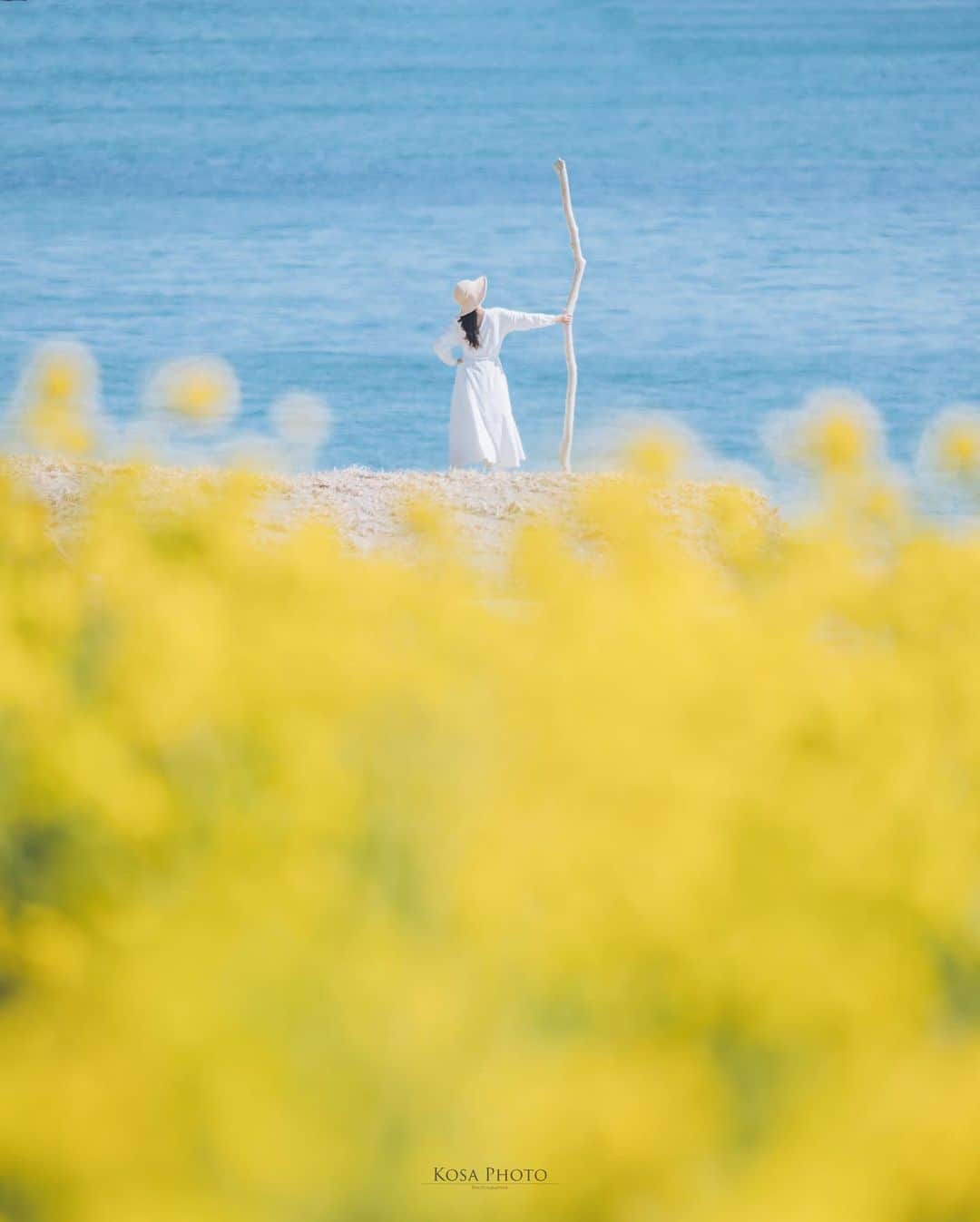 コサさんのインスタグラム写真 - (コサInstagram)「春の陽気  菜の花と海が見える素敵なロケーション😍 ストーリーを見て頂けるとわかりますが、声も届かない超望遠ポトレです 菜の花のビタミンカラーはパワーをもらえますね💪 . Location:愛知 Aichi / Japan🇯🇵 Date:2022年2月 Camera:Z9 /60-600mm . #菜の花 #海 #Japan_Daytime_View #s_shot #ポトレ撮影隊 #jp_mood #その瞬間は永遠の思い出 #jp_portrait部 #何気ない瞬間を残したい #good_portraits_world #jp_portrait_collection #season_girls_collection #reco_ig #白紙の1ページ #iedemo_graphy #screen_archive #as_archive #月刊8月のクリスマス #todays_blue_collection #みんなの青のストーリー  #tokyocameraclub #art_of_japan_ #team_jp_ #photo_jpn #sorakataphoto #LBJ_KING #mst_member #広がり同盟メンバー #special_spot_legend #木漏れ日に重ねる青のストーリー」2月28日 7時16分 - kosa_photo