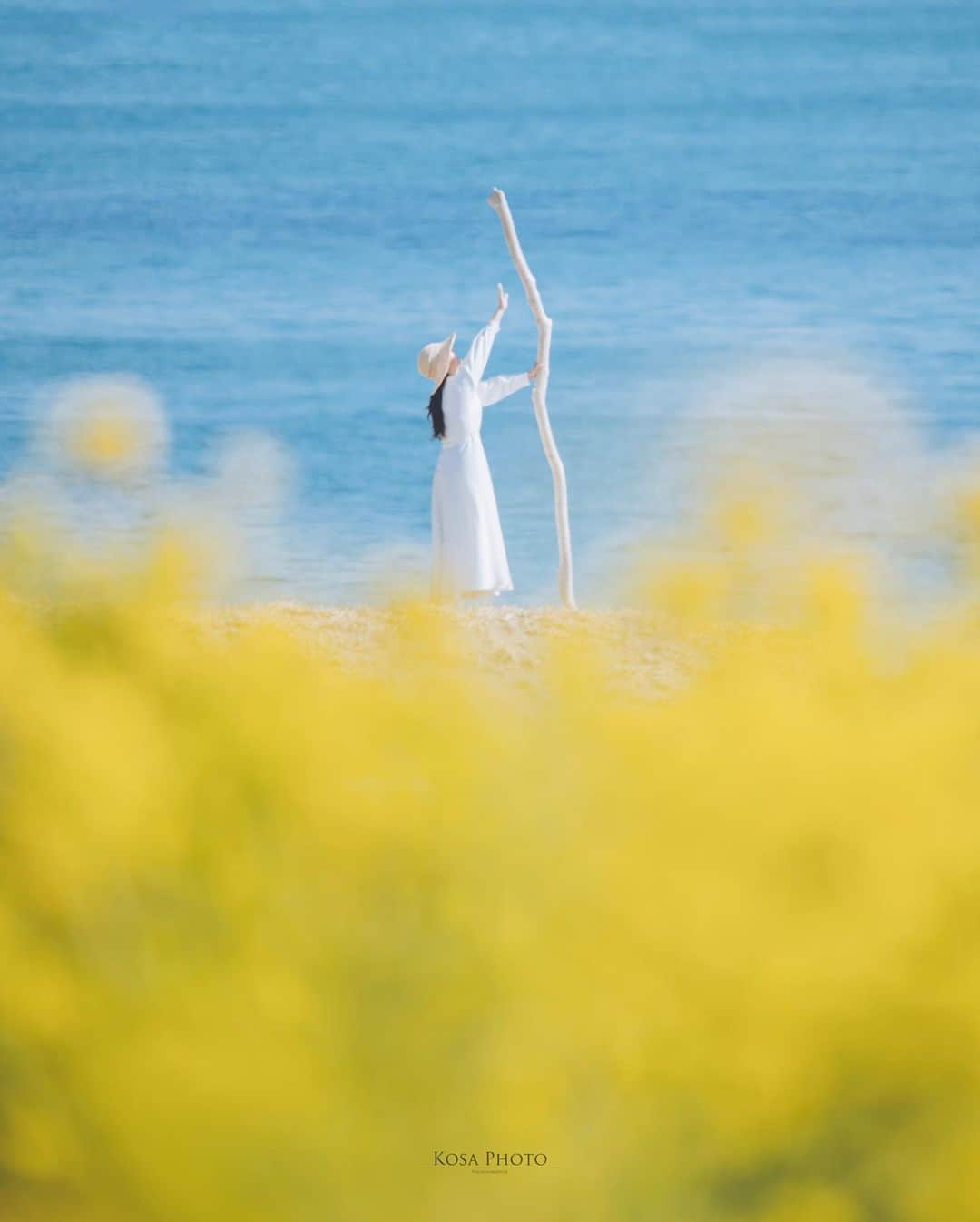 コサさんのインスタグラム写真 - (コサInstagram)「春の陽気  菜の花と海が見える素敵なロケーション😍 ストーリーを見て頂けるとわかりますが、声も届かない超望遠ポトレです 菜の花のビタミンカラーはパワーをもらえますね💪 . Location:愛知 Aichi / Japan🇯🇵 Date:2022年2月 Camera:Z9 /60-600mm . #菜の花 #海 #Japan_Daytime_View #s_shot #ポトレ撮影隊 #jp_mood #その瞬間は永遠の思い出 #jp_portrait部 #何気ない瞬間を残したい #good_portraits_world #jp_portrait_collection #season_girls_collection #reco_ig #白紙の1ページ #iedemo_graphy #screen_archive #as_archive #月刊8月のクリスマス #todays_blue_collection #みんなの青のストーリー  #tokyocameraclub #art_of_japan_ #team_jp_ #photo_jpn #sorakataphoto #LBJ_KING #mst_member #広がり同盟メンバー #special_spot_legend #木漏れ日に重ねる青のストーリー」2月28日 7時16分 - kosa_photo