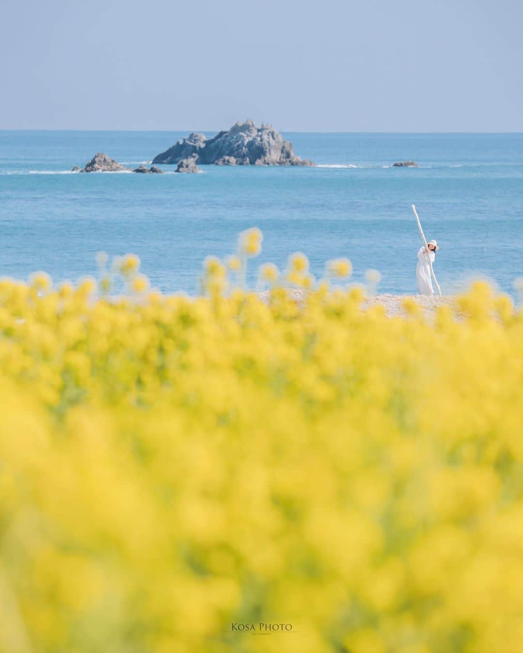 コサさんのインスタグラム写真 - (コサInstagram)「春の陽気  菜の花と海が見える素敵なロケーション😍 ストーリーを見て頂けるとわかりますが、声も届かない超望遠ポトレです 菜の花のビタミンカラーはパワーをもらえますね💪 . Location:愛知 Aichi / Japan🇯🇵 Date:2022年2月 Camera:Z9 /60-600mm . #菜の花 #海 #Japan_Daytime_View #s_shot #ポトレ撮影隊 #jp_mood #その瞬間は永遠の思い出 #jp_portrait部 #何気ない瞬間を残したい #good_portraits_world #jp_portrait_collection #season_girls_collection #reco_ig #白紙の1ページ #iedemo_graphy #screen_archive #as_archive #月刊8月のクリスマス #todays_blue_collection #みんなの青のストーリー  #tokyocameraclub #art_of_japan_ #team_jp_ #photo_jpn #sorakataphoto #LBJ_KING #mst_member #広がり同盟メンバー #special_spot_legend #木漏れ日に重ねる青のストーリー」2月28日 7時16分 - kosa_photo