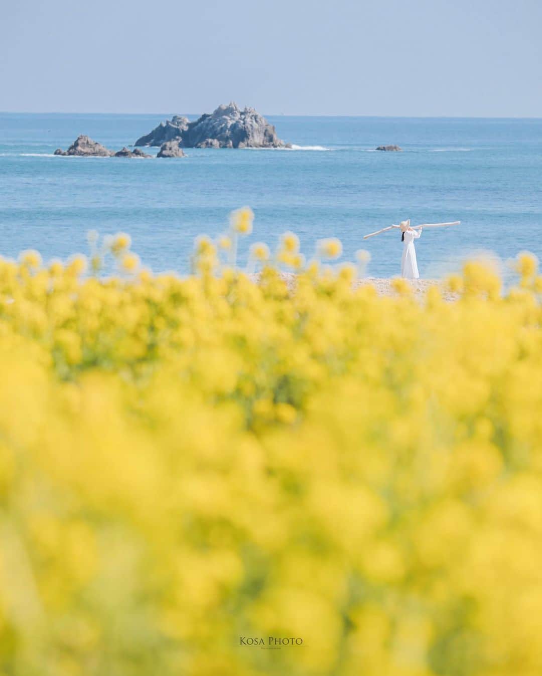 コサさんのインスタグラム写真 - (コサInstagram)「春の陽気  菜の花と海が見える素敵なロケーション😍 ストーリーを見て頂けるとわかりますが、声も届かない超望遠ポトレです 菜の花のビタミンカラーはパワーをもらえますね💪 . Location:愛知 Aichi / Japan🇯🇵 Date:2022年2月 Camera:Z9 /60-600mm . #菜の花 #海 #Japan_Daytime_View #s_shot #ポトレ撮影隊 #jp_mood #その瞬間は永遠の思い出 #jp_portrait部 #何気ない瞬間を残したい #good_portraits_world #jp_portrait_collection #season_girls_collection #reco_ig #白紙の1ページ #iedemo_graphy #screen_archive #as_archive #月刊8月のクリスマス #todays_blue_collection #みんなの青のストーリー  #tokyocameraclub #art_of_japan_ #team_jp_ #photo_jpn #sorakataphoto #LBJ_KING #mst_member #広がり同盟メンバー #special_spot_legend #木漏れ日に重ねる青のストーリー」2月28日 7時16分 - kosa_photo