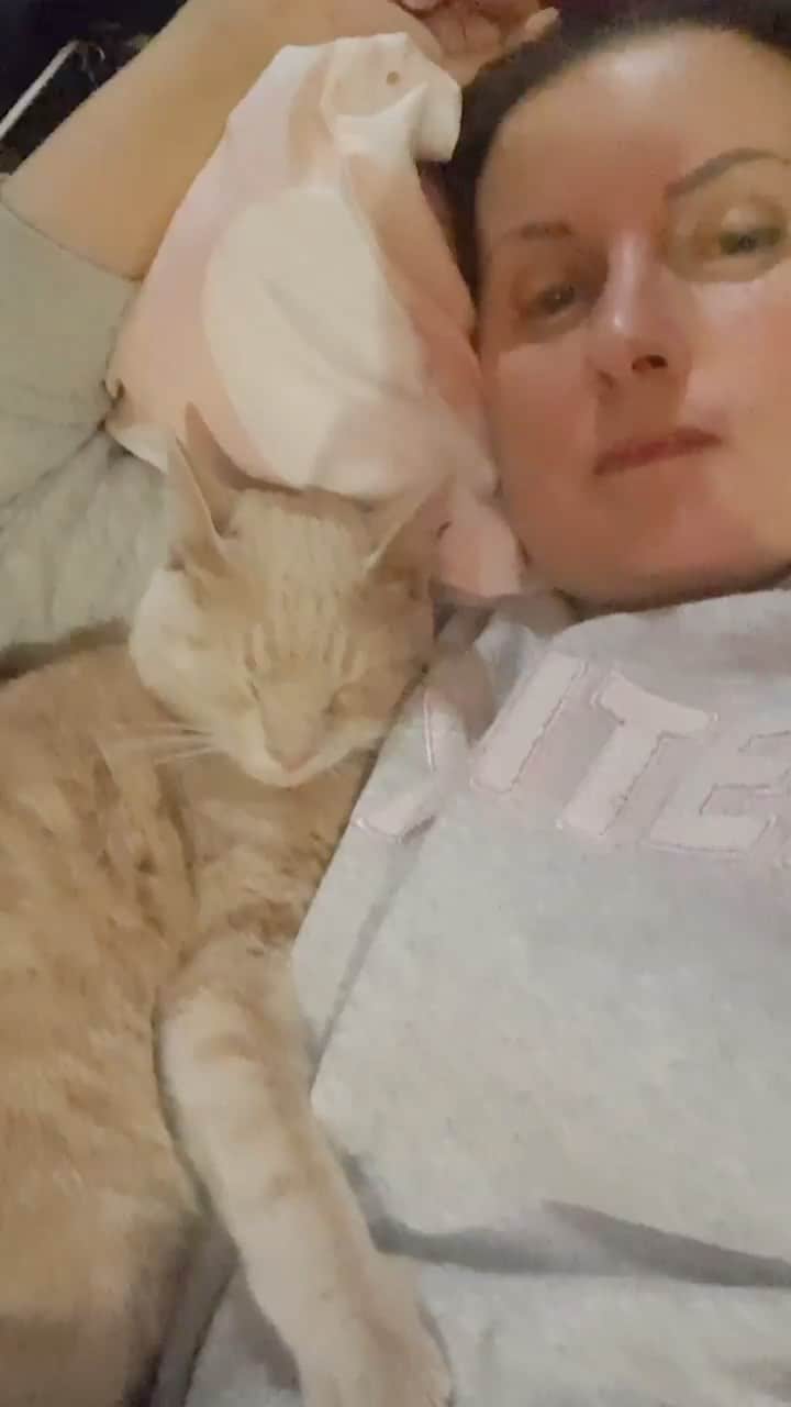 のインスタグラム：「Small comforts … Repost from @shelter_ugoleok • You know, hiding in the basement while bombing might have it's small pleasant moments.  Though it would be much better in warm house, with normal food etc. I personally with my family got into the middle of fights for Kherson. Absolutely no way to get out of here.  We are waiting for a good time to evacuate with all our animals...  The most difficult situation in @myhome.sanctuary  Thinking now how to evacuate.... All of this territory is occupied by Russian forces.  All working staff is there, with animals taking care of them. Noone is injured or killed for now..  PayPal:pawsofhelp@outlook.com  Venmo:pawsofhelp   We need funds for evaluation.  Thank you kindly for any help and spreading the word for us!」