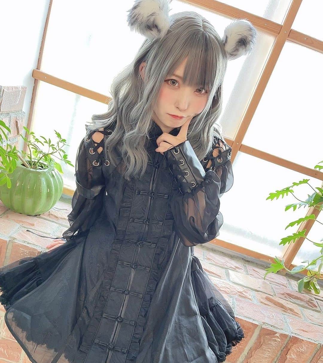 茉夏のインスタグラム：「白虎ちゃん🐯❕」