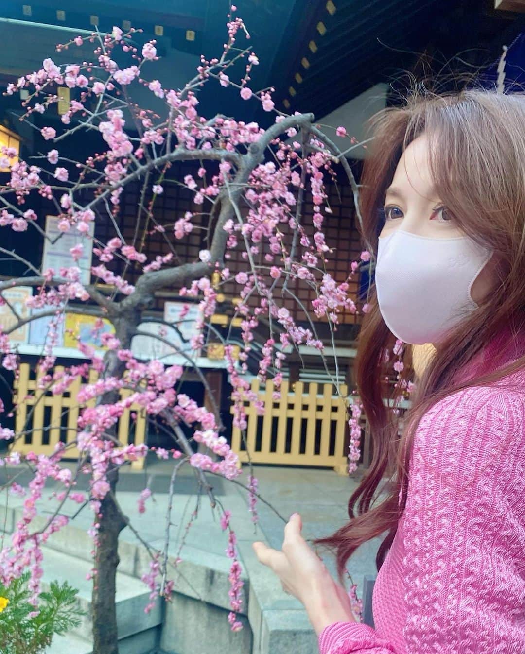 のインスタグラム：「平和とコロナが収まることを願いお参りさせて頂きました。  澄み渡る空気の中に 辺り一面に、可憐な香りが広がって……  #具体的にお願いしました #春の香り #マスク越しにも #思わず駆け寄り #五感への刺激 #思わず振り返る香り #ftcbeauty #君島十和子」