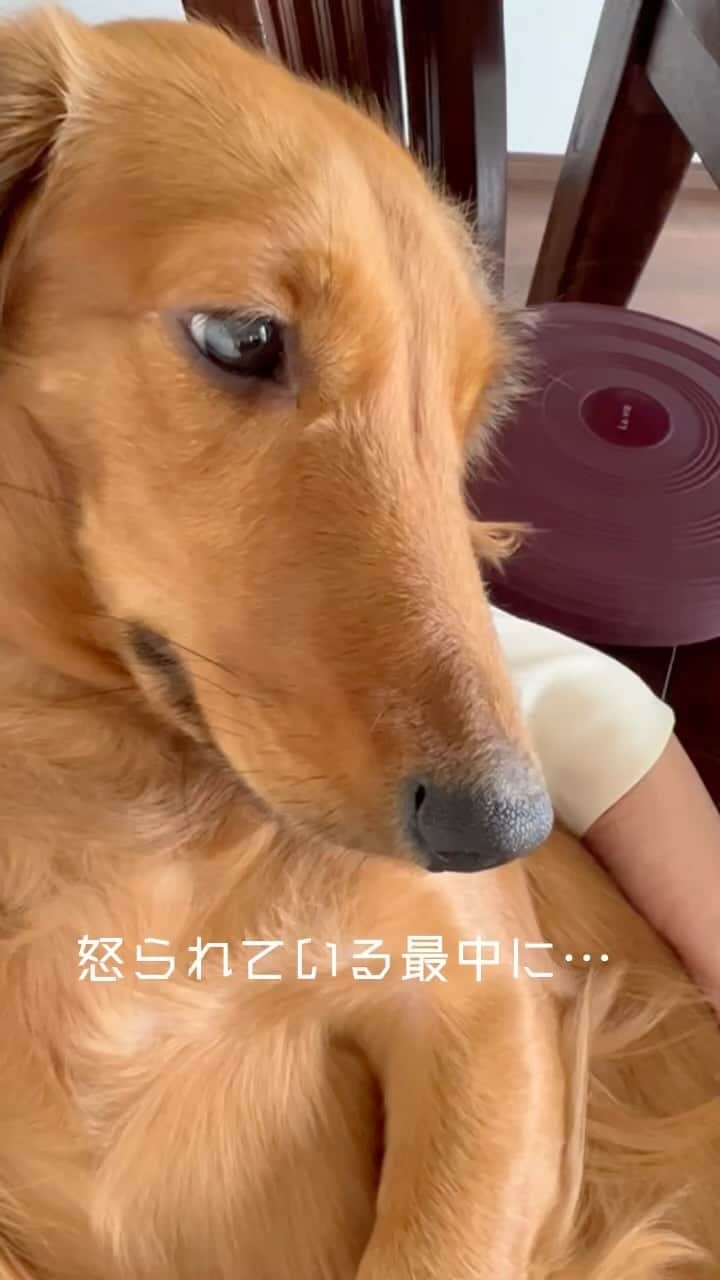 宮城麻里子のインスタグラム