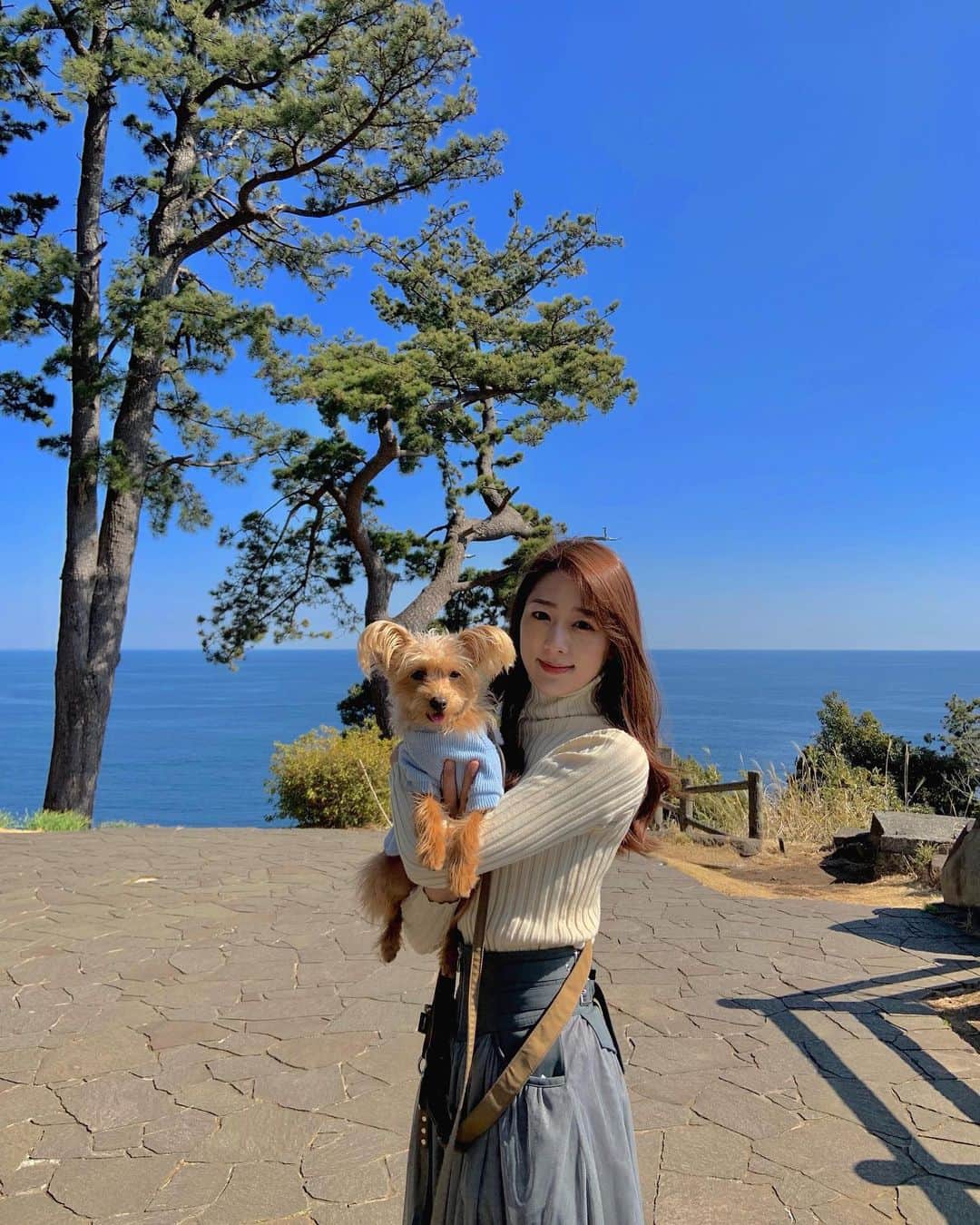 のインスタグラム：「家族で真鶴にドライブに行ってきました😊🚙💨  本当はパパとママ2人で行く予定だったんだけど、わたしとポッケも連れて行ってもらったよ🤣  今日はお天気がとてもよくって、太陽でキラキラした青い海がきれいで、静かな自然の景色にいられてとても癒されました😌✨  ポッケは犬生2回目の海？w  トコトコトコトコ歩いてずんずん進んで時々不思議そうに海を見ていました🐶🌊💓  ランチで行ったカフェは景色がとても良くてテラスは犬もOKだったので、またポッケにもいい経験させられた🥰❤️  少しずついい子になっています😭泣ける…w  久々家族でのおでかけ楽しかった〜😊♬  #真鶴#真鶴観光#真鶴半島自然公園 #ポメプー部#いぬとおでかけ#ドライブ旅行」