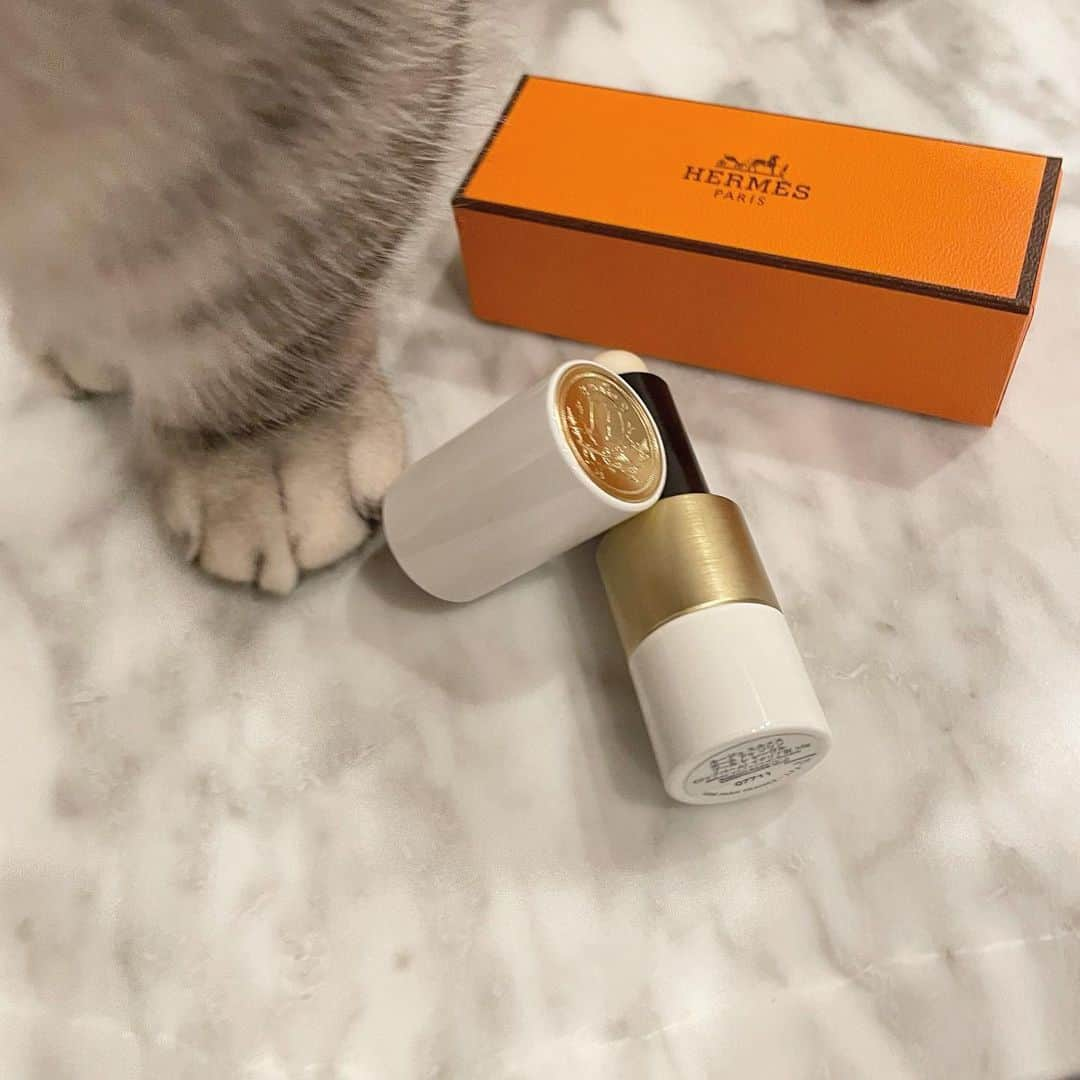 佐達ももこさんのインスタグラム写真 - (佐達ももこInstagram)「🐈‍⬛🧡  #hermes」2月28日 21時48分 - sadamomodayo