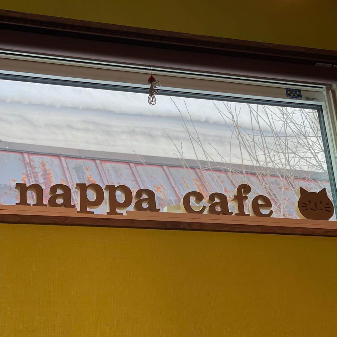木本泉さんのインスタグラム写真 - (木本泉Instagram)「- ３日連続食べた"あげパン"🍞 初めて食べたのですが美味しい😋  "COMPASS VILLAGE"  コーヒーも美味しい☕️ 旅館のコーヒーがいまひとつだったので笑、通いました😊  通りがかりに入ったカフェ🐈‍⬛ "nappa cafe"  生チョコが美味しすぎた😆 こんなに食べられるかな？と思ったけど、普通に食べられた😛  旅先で色んな美味しいものに出会うのも楽しみの1つ。  初めて行く場所は、全部新鮮で楽しい❤️  帰りはりんご🍎も沢山買って帰りました！  #野沢温泉#野沢温泉街#COMPASSVILLAGE#nappacafe#揚げパン#生チョコ」2月28日 23時44分 - izumikimoto
