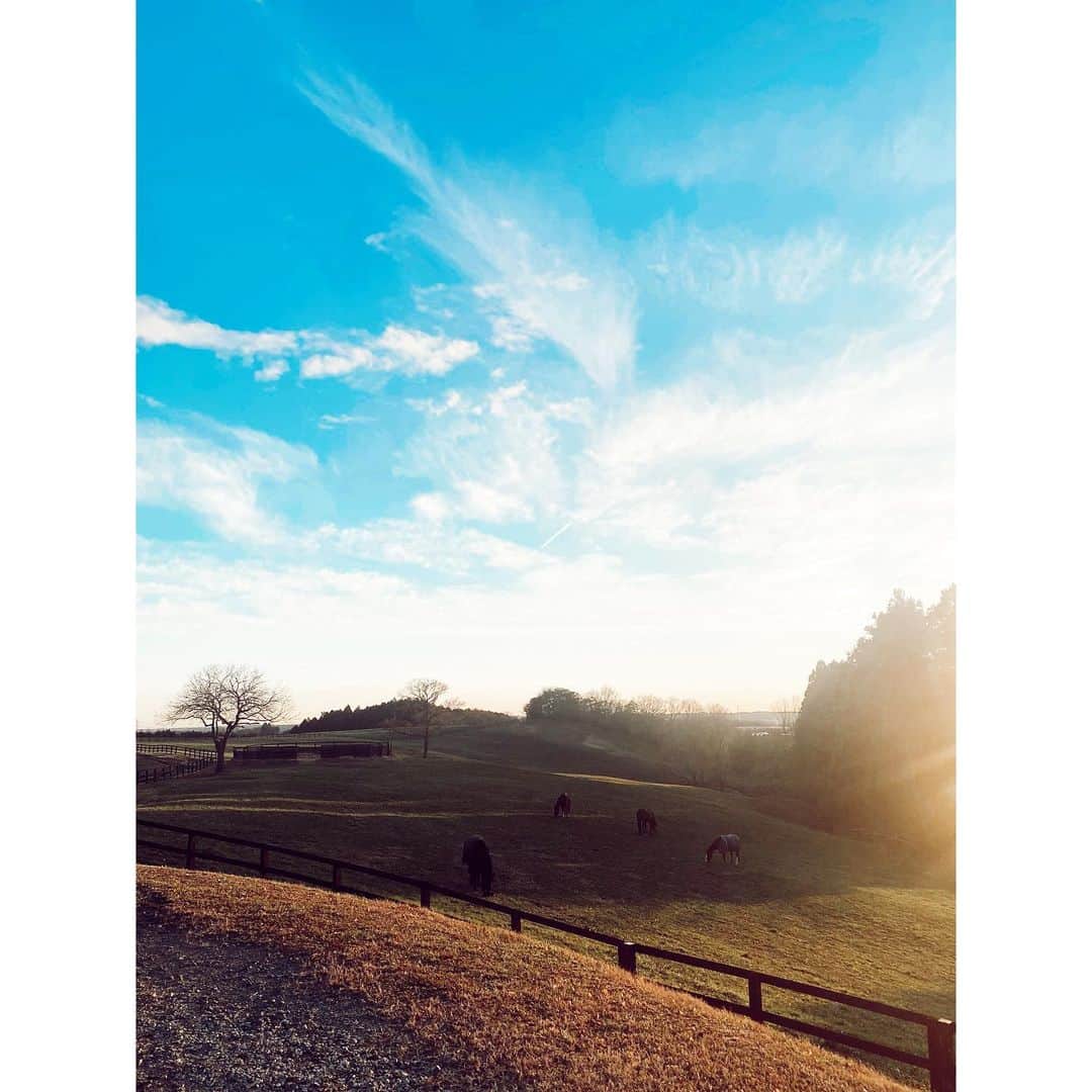 紗栄子さんのインスタグラム写真 - (紗栄子Instagram)「Think The DAYとして動きながらも、私も私のやるべきことをしっかりと続けないと。  牧場のことも、芸能のことも。  インスタも、私の日常もあげていきます。」3月1日 10時14分 - saekoofficial