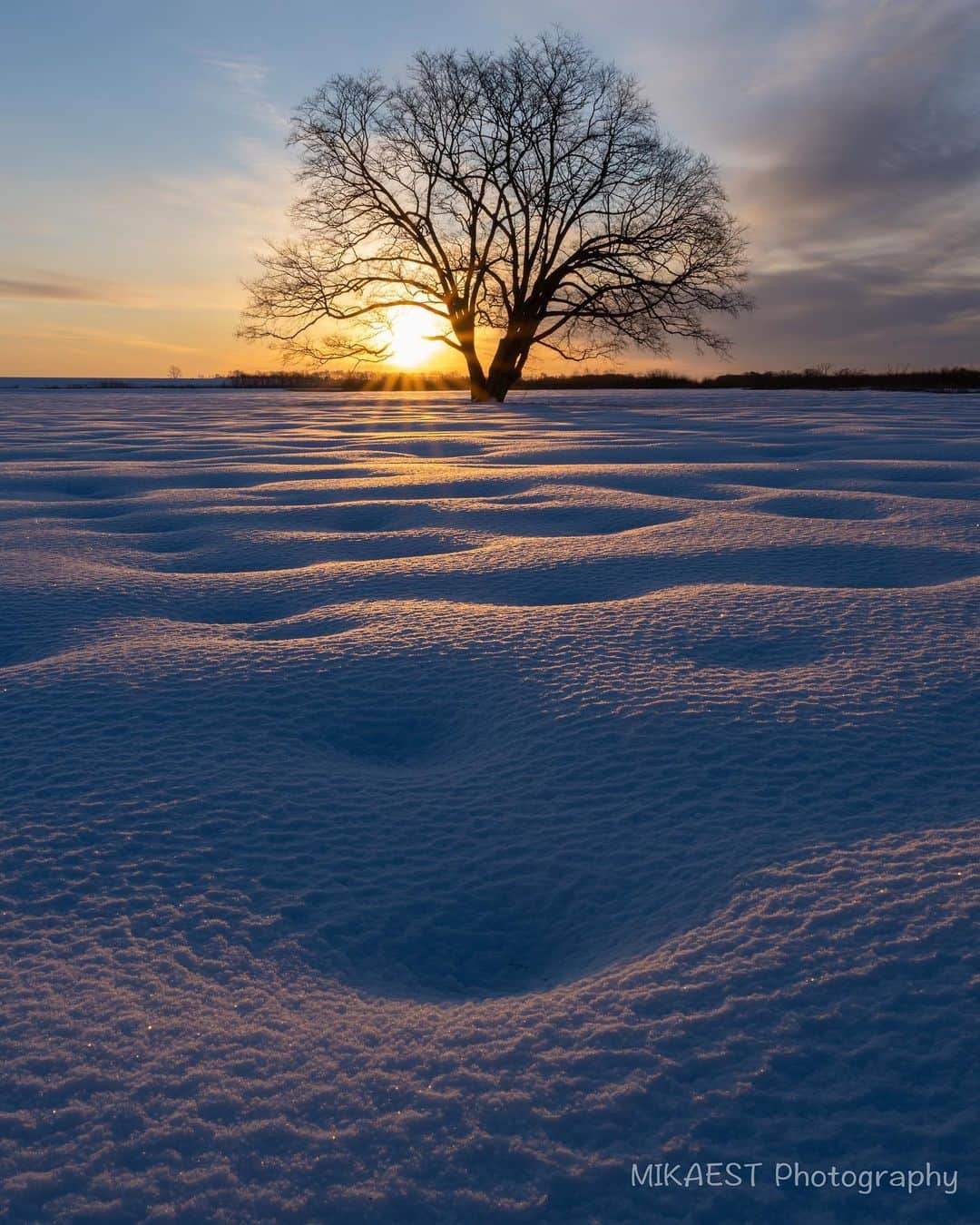 mikaestのインスタグラム：「At sunrise  ハルニレの木で朝を迎えました。 雪の積もった地面のぽこぽこが可愛かったです😊  木と木の間から朝陽が出るように撮れる位置には カメラマンがトーテムポールのようにたくさん 重なっていましたが、 ミカエスト氏はそこに乗り遅れました😂  Camera : Nikon Z7 Lens : Nikkor Z 24-70mm f/2.8 VR S  #Zcreators #ハルニレの木 #sunrise #豊頃町」