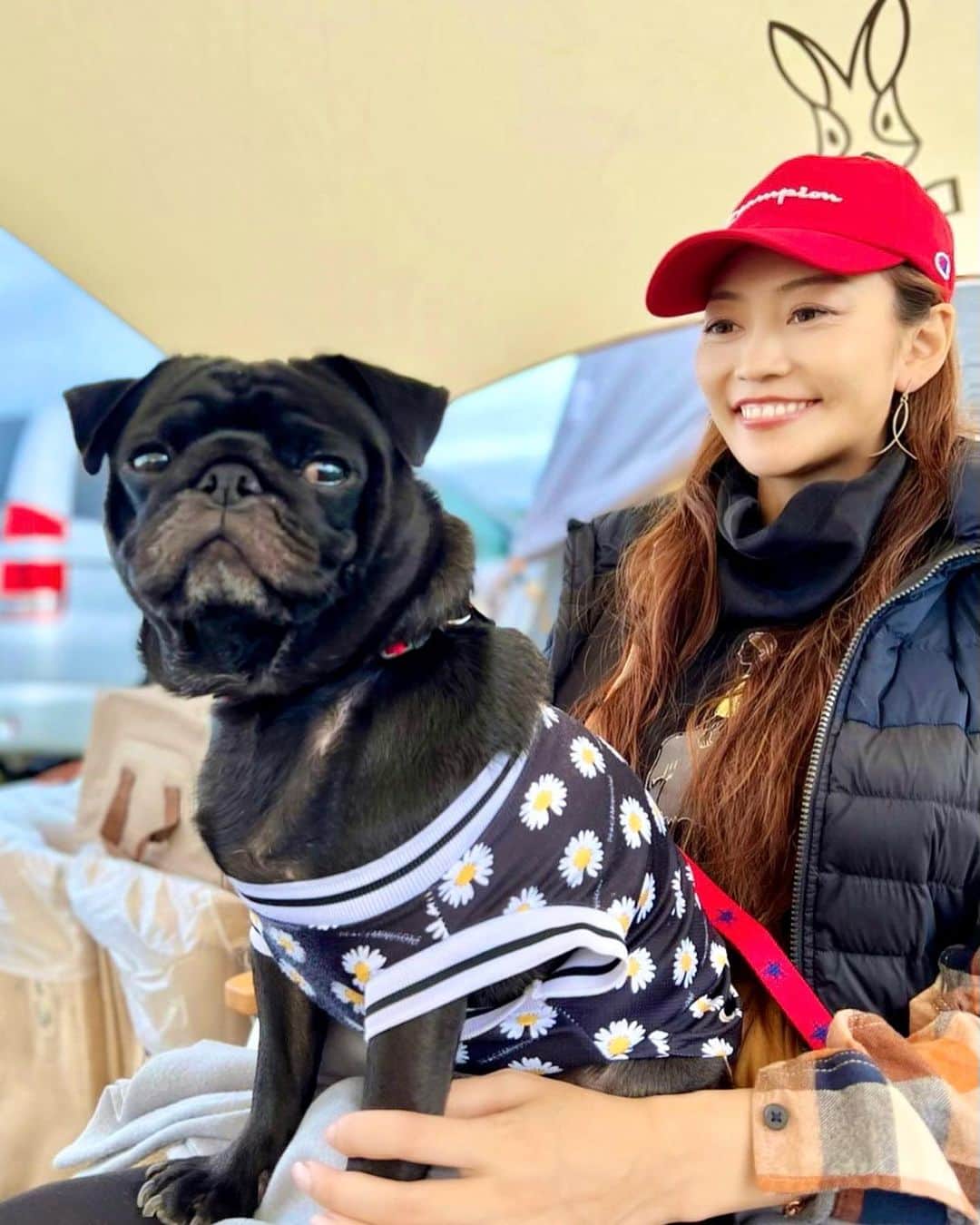 SAORIのインスタグラム：「🏕☀️🌿🧡 親友セロちゃん @pug.saeroi の おすまし顔可愛い😍😍😍 いつから親友になったん←」