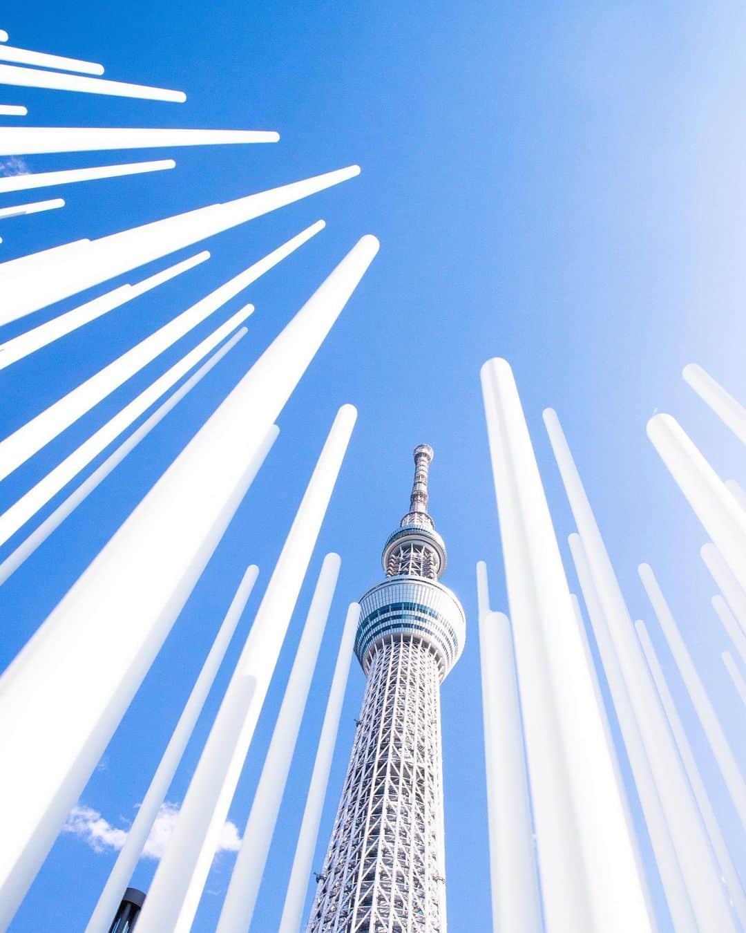 kazumaのインスタグラム：「.. . Blue and White . Tokyo Nyokinyoki Tree . . 3月 弥生とは早いものだ。 . 東武橋の河津桜🌸はまだ満開ではなく、例年より遅い感じ。 今週末が見頃なのかな〜📸 . キプチョゲ選手が東京を走るまであと5日とか待ち遠しい🏃‍♂️ . . . . . . . . . . . . . #スカツリスト #tokyoskytree  #東京スカイツリー . . . . . . . . ————————————————— #igersjp #team_jp_ #instagramjapan #icu_japan #ink361_asia #like4like #instalike #写真が好きな人と繋がりたい#ファインダー越しの私の世界 #キリトリセカイ  #instadaily #ig_worldclub #igrecommend #lovers_nippon #picture_to_keep #beautiful #jp_gallery_member  #東京カメラ部 #tokyocameraclub #indies_gram #sky #instagood #huntgram #huntgramjapan #japan_daytime_view #art_of_japan_ #ig_photooftheday  ————————————————— . . . . . . .. ...」