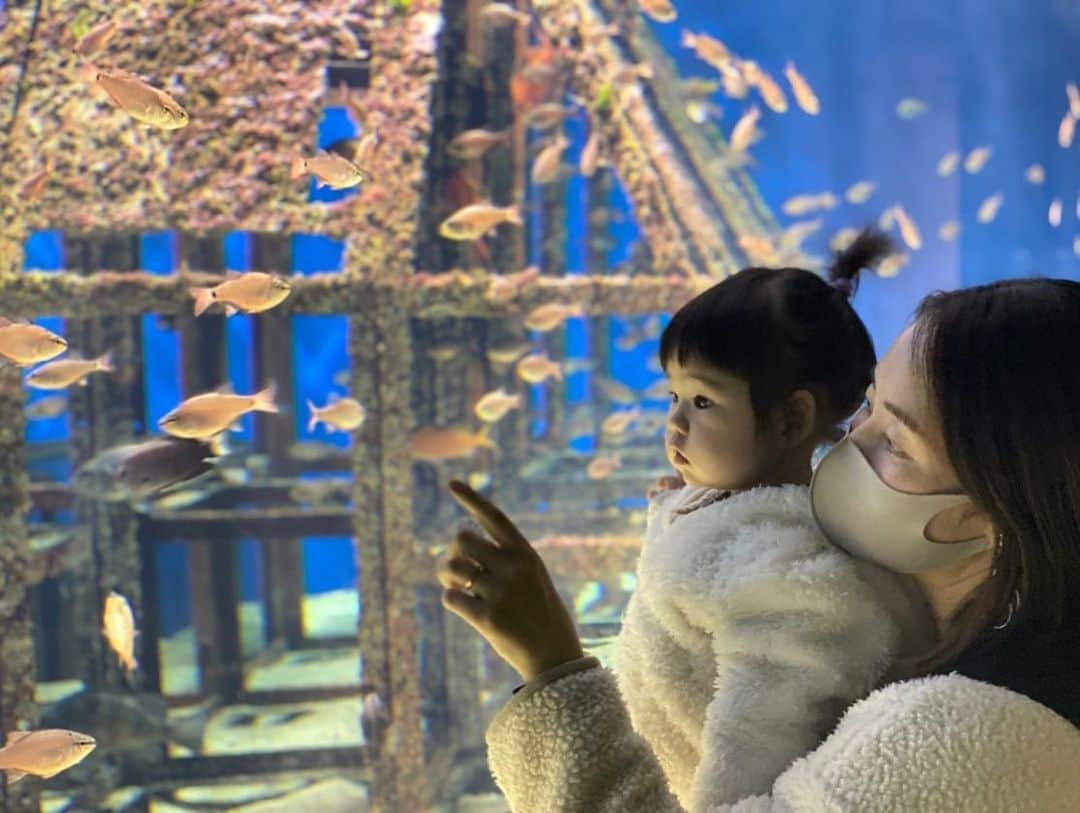 のインスタグラム：「コモモちゃん♡♡ 初めての水族館✨☘️ なんて純粋な眼差し😭✨  コモモちゃんには色々な景色や体験をさせてあげたいな✨✨  #コモモちゃん成長日記  #一歳 #思い出 #水族館」