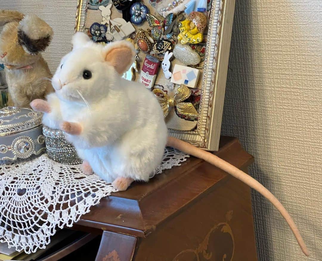 のインスタグラム：「やばいぐらいかわいいねずみのぬいぐるみ買ってしまった」