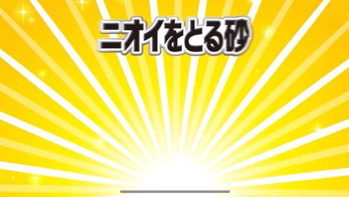 のインスタグラム：「ライオン商事様、 ”ニオイをとる砂”ブランドの新商品 「ウンチもオシッコも臭わない袋」 のweb CMに出演させて頂きました！  7層構造＆特殊フィルムで、 ３日経っても99％臭い漏れしない仕様。 袋の開口部分が広くて、 猫砂・排泄物をスコップですくった後、 そのまま袋の中で捨てられるので、こぼれる事なく片付けられるのも とても良かったです🐈‍⬛🐈✨  是非お手に取ってみてください💛  https://youtu.be/f6-s9r7vA7w  #ライオン商事 #ニオイをとる砂  #ウンチやオシッコも臭わない袋 #臭わない袋 #webCM」