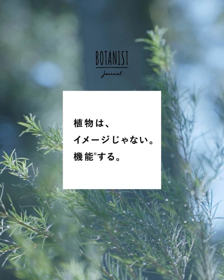 botanist officialのインスタグラム：「【ティーツリーの力と魅力】 #植物はイメージじゃない機能する 植物は、私たちに大きな効能を与えてくれています🌍🌿 ⠀⠀ 日本メディカルハーブ協会の理事を勤められる木村正典氏をお迎えして、昨今、抗菌・抗ウィルス、そして美容効果にも注目を集めるオーストラリア原産のハーブ #ティーツリー の驚くべき力を、お伺いしました✍️ ⠀⠀ ストーリーズのリンク先 #BOTANISTJOURNAL で紹介しております💡 是非、お楽しみください♪ ⠀⠀ #BOTANIST #ボタニスト #botanicalbeauty」