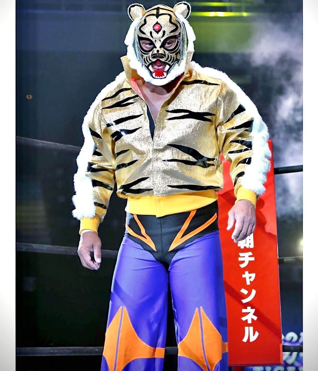 タイガーマスク マント(初代タイガーマスクの失意「マスクは布 タイガーマスク マント(初代タイガーマスクの失意「マスクは布