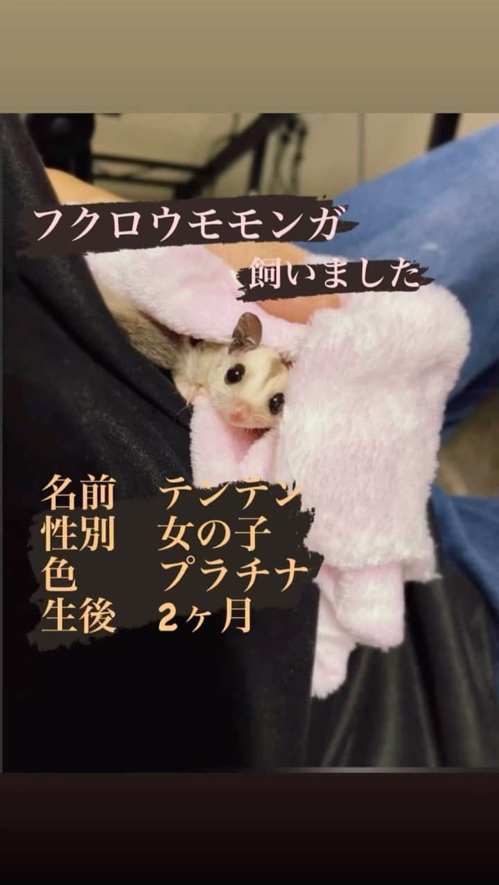 斉藤潤一のインスタグラム