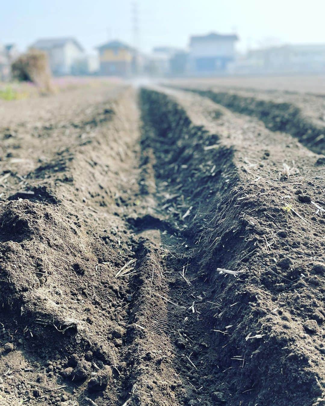 のインスタグラム：「farmer's day🥔  #work #農業」