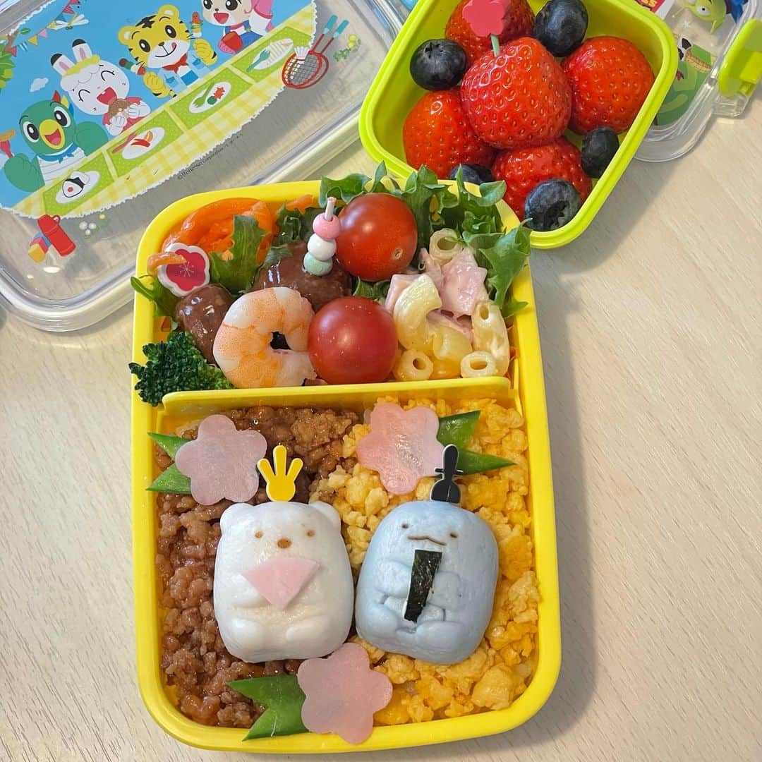 のインスタグラム：「おはようございます☀☀  今日はひな祭り🎎 ということで  ひな祭り弁当🎎  すみっこぐらしを仮装して ひな祭り感。。  以上です！🤣  皆様今日もよい一日を✨  #お弁当#幼稚園弁当＃ひな祭り ＃ひな祭お弁当#lunchbox ＃子供お弁当 #すみっコぐらし」