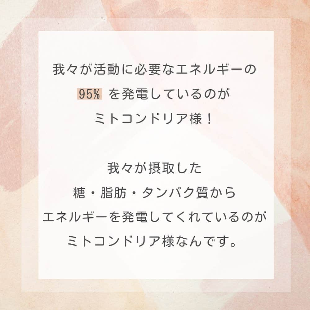 滝沢ななえさんのインスタグラム写真 - (滝沢ななえInstagram)「痩せたいなら！ 代謝を良くしたいなら！ ミトコンドリア様を元気にしよう！  我々が活動に必要なエネルギーの95%を 発電しているのがミトコンドリア様！  我々が摂取した糖・脂肪・タンパク質から エネルギーを発電してくれているのが ミトコンドリア様なんです。  じゃあどうやったらミトコンドリア様が エネルギーをたくさん発電してくれるようになるかというと…  【ビタミンB群・マグネシウム・鉄】 これらのビタミン・ミネラルが必要になります！  食べないダイエットは栄養素も入ってこないので ミトコンドリア様も元気がなくなり エネルギー発電をしなくなってしまうということですね…。  これがいわゆる代謝が悪いという状態。 恐ろしい…。  やっぱりきちんと食べることも大切です！  食事から栄養素をとることが1番だとは思いますが…！ 自炊できる人ばかりじゃないと思うから そういうときはサプリメントに頼るのも 有りかなと(^^)  ダイエットの基礎は 【運動・栄養・睡眠】です！ この基礎の部分ができていない人が多いと思う今日この頃。  基礎ができていないのに 枝葉のダイエット法にとびついても 結果はでません。 基礎なくして応用なしですよ！  一緒にダイエット頑張る！ と思ってくれた方はイイネや 保存してくれると嬉しいです！  #ダイエット #diet #身体作り #健康 #代謝の良い身体」3月3日 19時25分 - nanaetakizawa