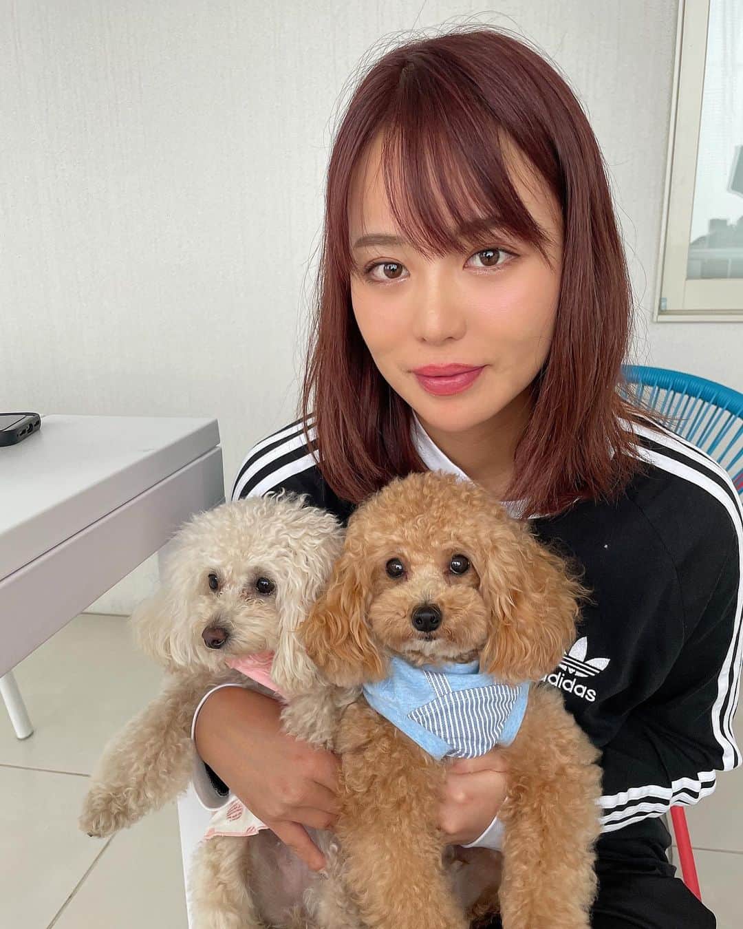 原田怜奈のインスタグラム：「マロンモカを連れて BBQに行きました❤︎ お肉一緒に食べました❤︎ 可愛かった❤︎ . . . #off #バーベキュー　#タイニープードル　#トイプードル」