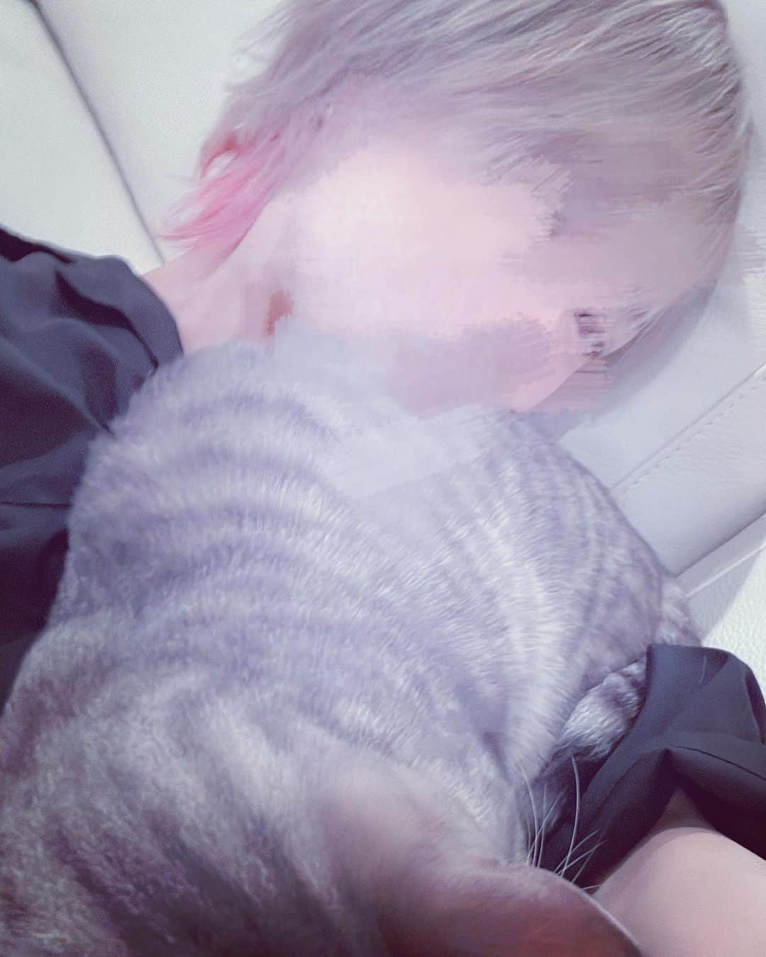 莉犬さんのインスタグラム写真 - (莉犬Instagram)「🐱💤」3月3日 20時50分 - riinukun