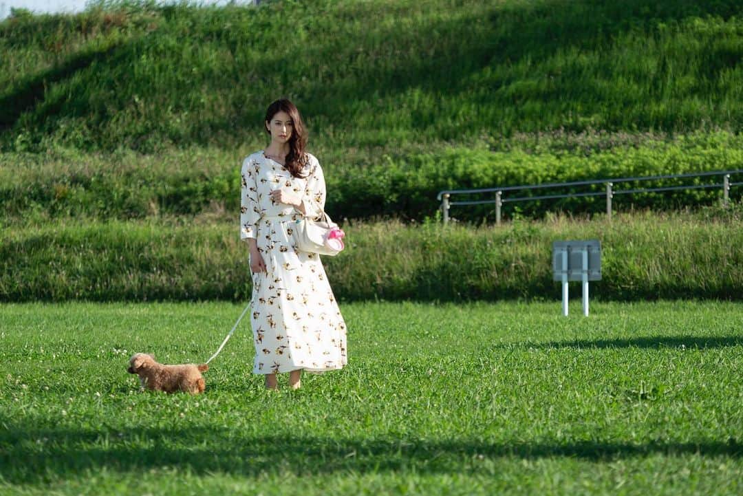 松本若菜のインスタグラム：「松本的助演犬優賞🐶ぷぅ  本当にいい子でした。 暑い日だったのによく頑張ってくれて。  #金魚妻 #頭痛妻」