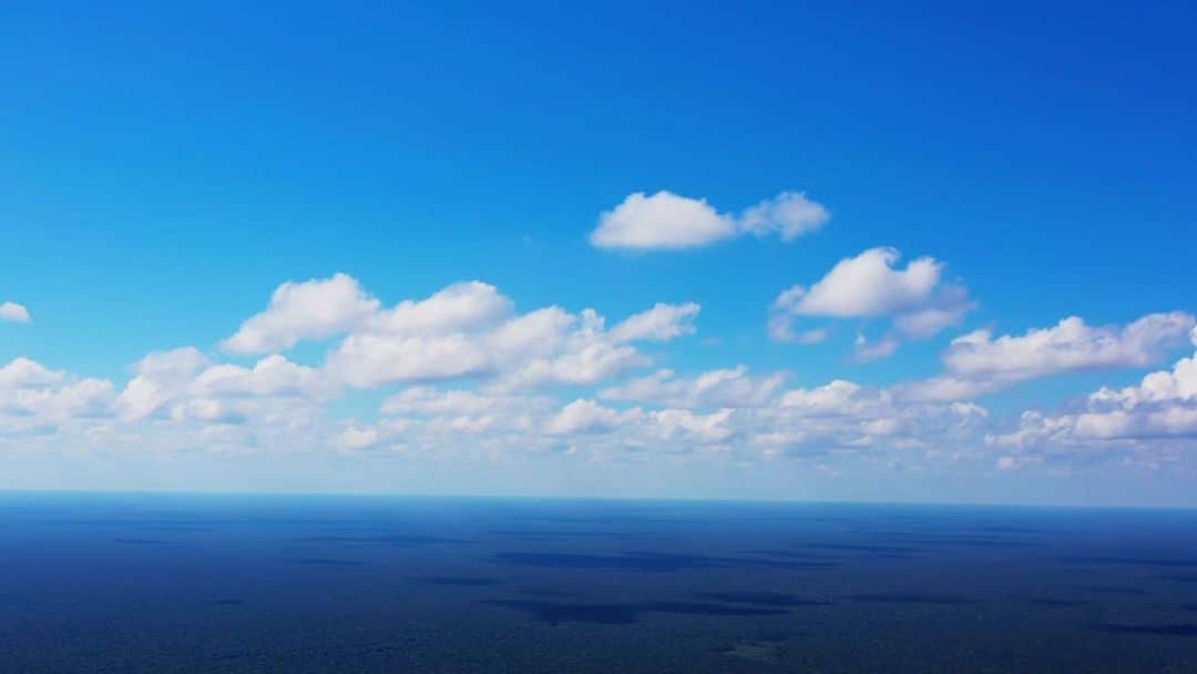 のインスタグラム：「Eden」