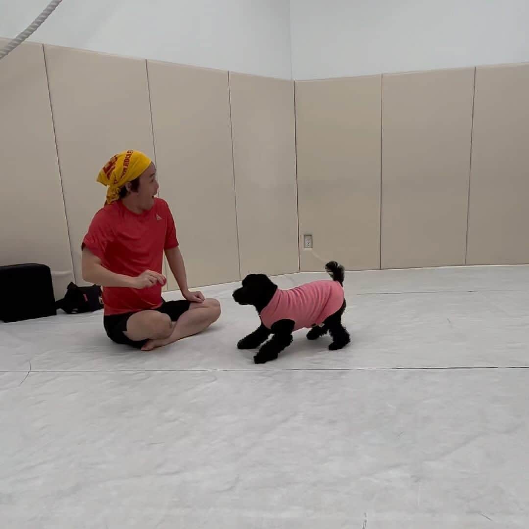 岸本加世子のインスタグラム：「やついが殿と遊んでくれました。#やついいちろう #bravegym」