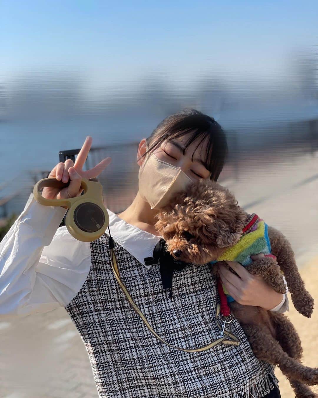 のインスタグラム：「ピノちゃんと🐶🐶  お兄ちゃんの20歳の記念写真を撮るために、景色が綺麗なところに行ってきました🚗³₃🕊  突然話が変わってしまうけど、今日はひな祭りですね！！🎎  私は、桜餅を食べました🌸🤍美味しかった～♥️   #ひまひまチャンネル #ひまひま #トイプードル」