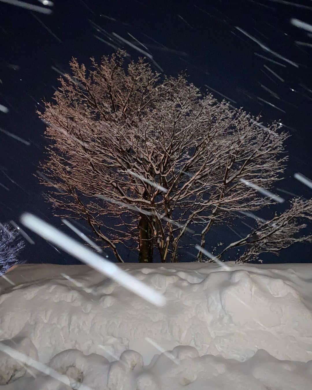 澤本夏輝さんのインスタグラム写真 - (澤本夏輝Instagram)「in NAGANO❄︎☃️❄︎」3月3日 22時40分 - natsukisawamoto_official