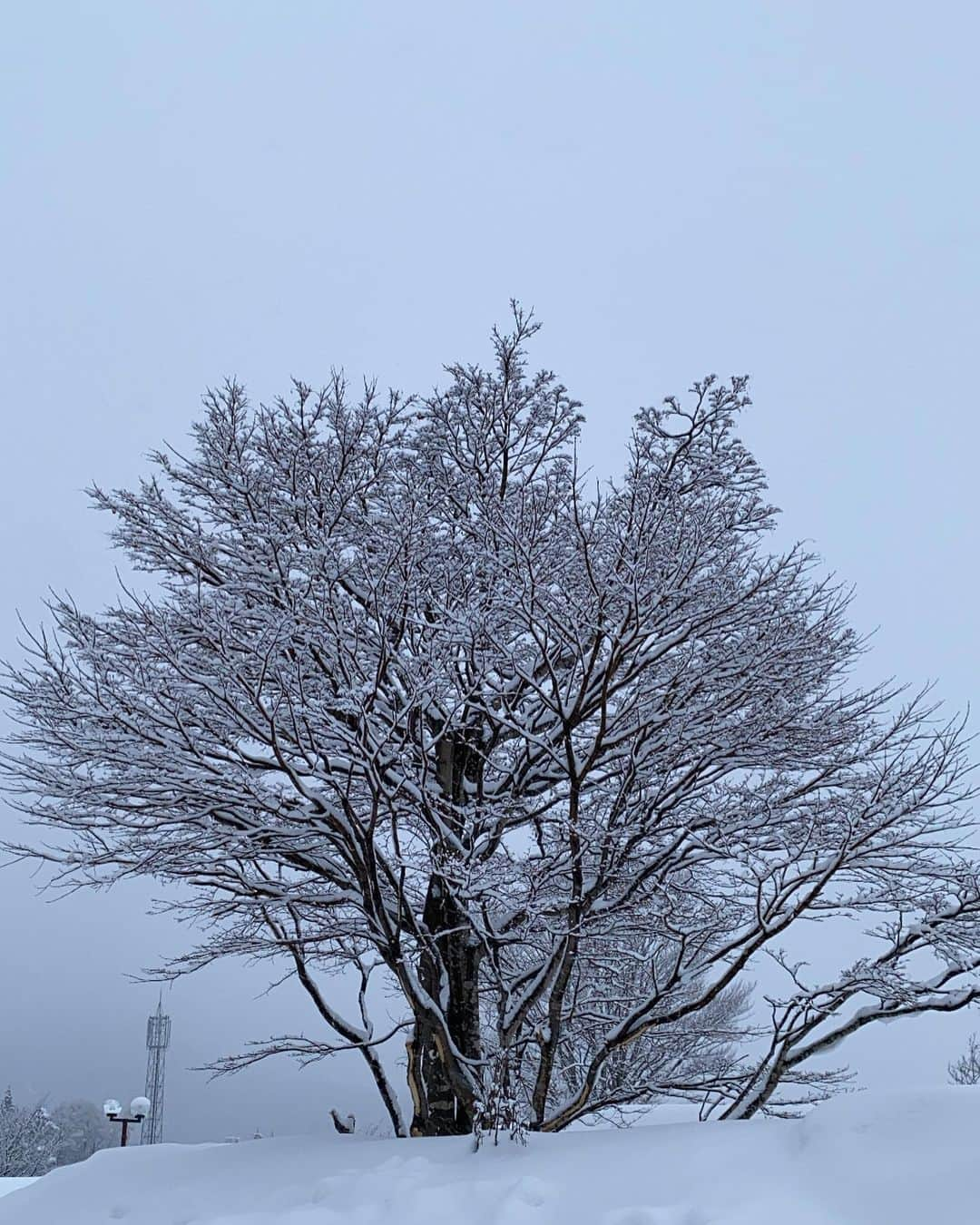 澤本夏輝さんのインスタグラム写真 - (澤本夏輝Instagram)「in NAGANO❄︎☃️❄︎」3月3日 22時40分 - natsukisawamoto_official