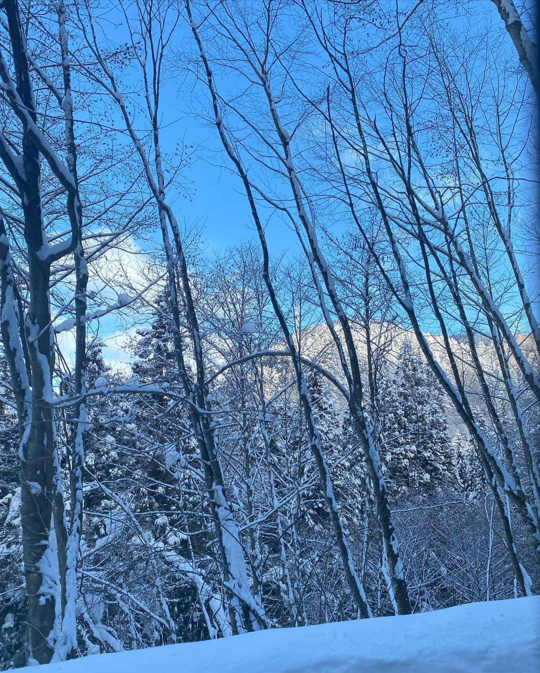 澤本夏輝さんのインスタグラム写真 - (澤本夏輝Instagram)「in NAGANO❄︎☃️❄︎」3月3日 22時40分 - natsukisawamoto_official