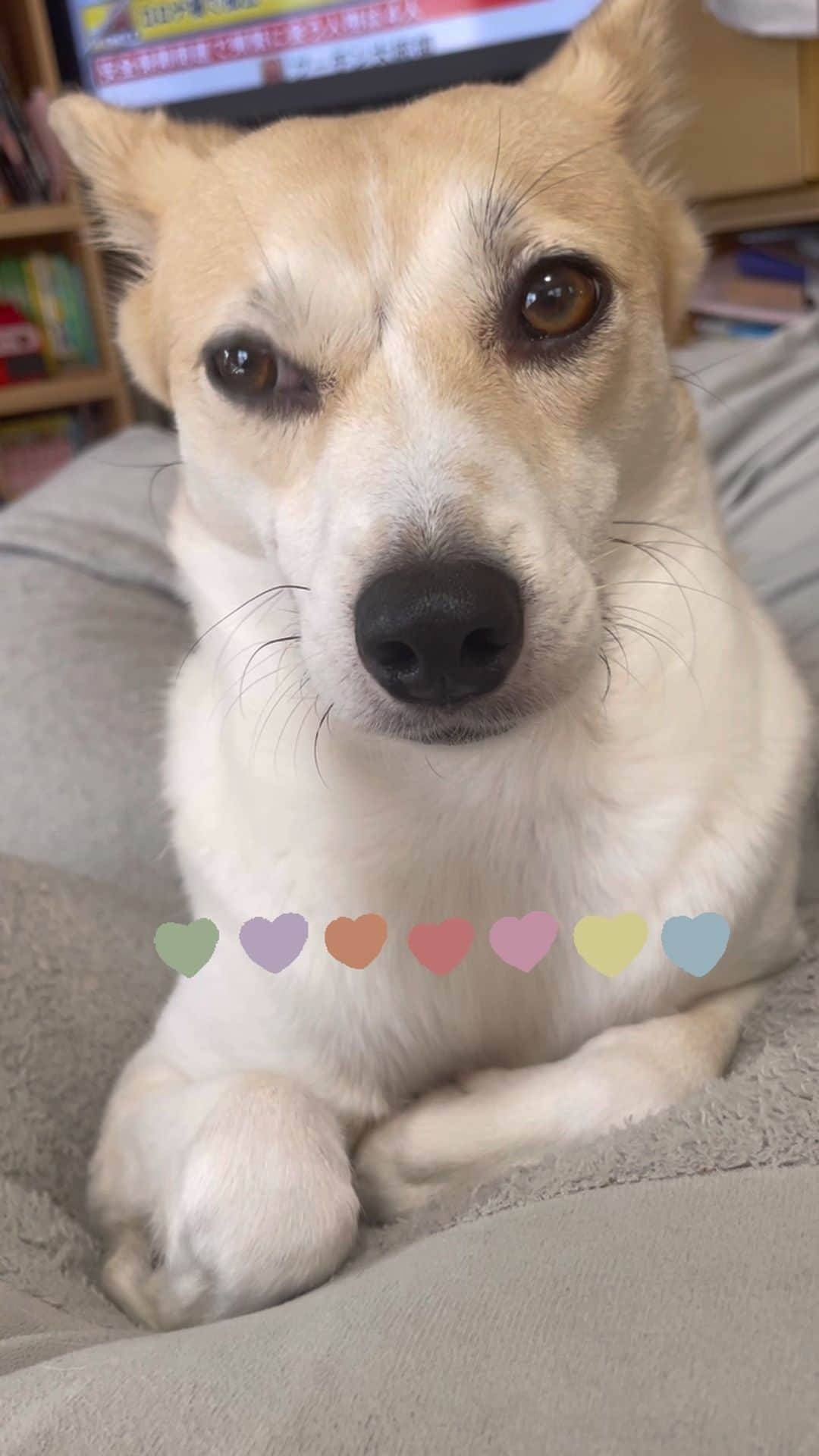西尾まりのインスタグラム