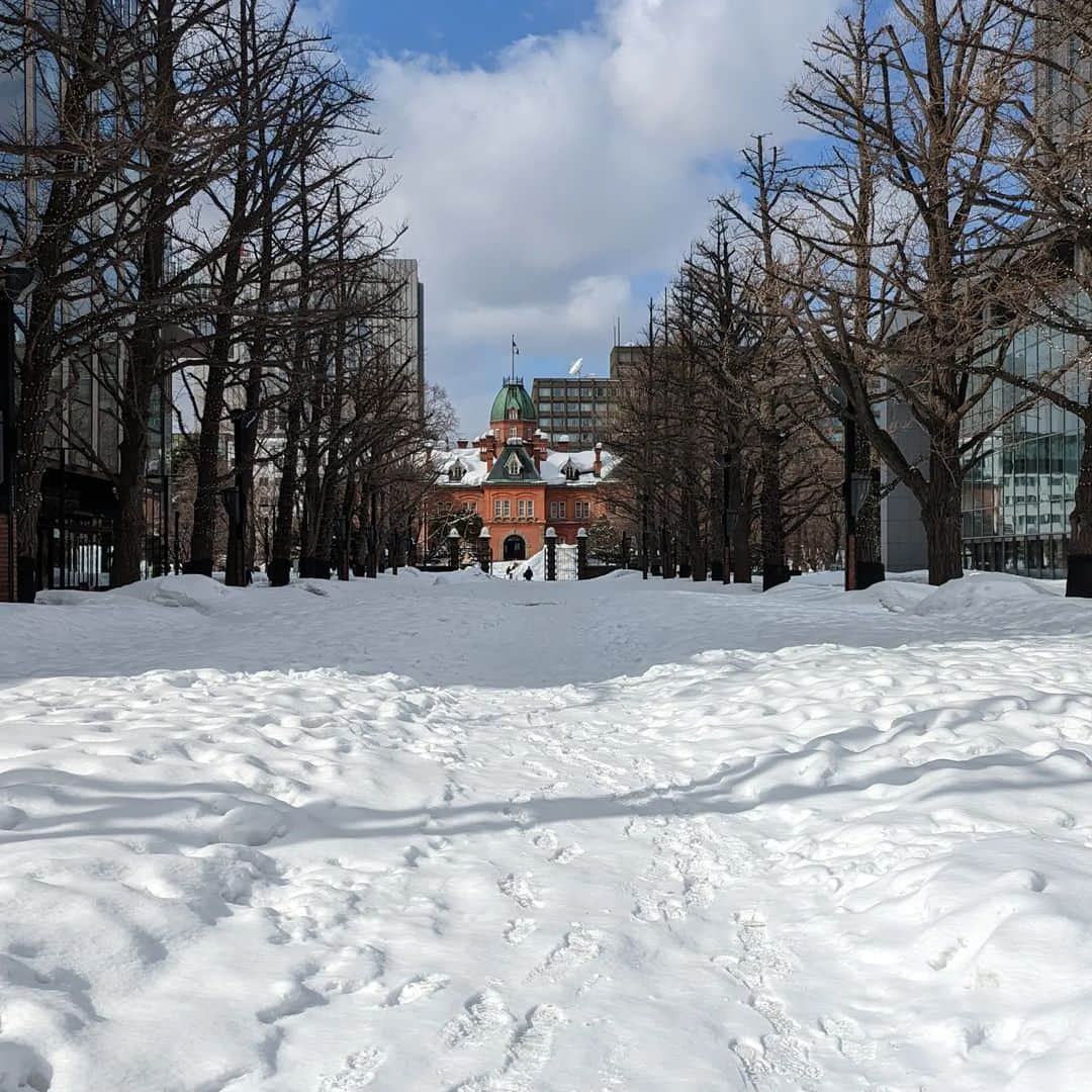 森岡良介さんのインスタグラム写真 - (森岡良介Instagram)「✨❄️☃☃☃❄️✨  #散歩 #転倒注意 #バランスが大切 #歩きかた #コツ #掴んだ」3月4日 10時00分 - morley681075