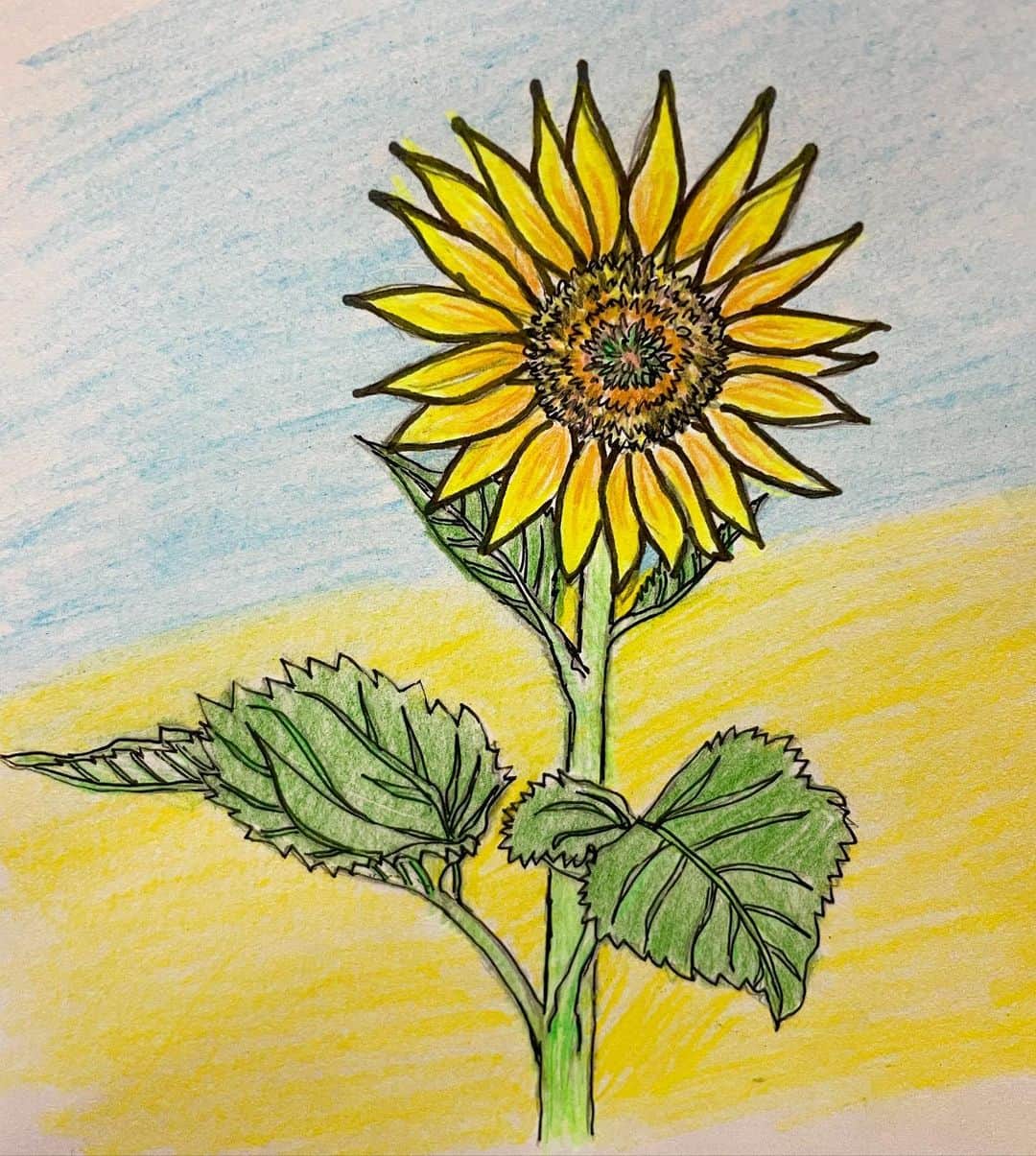 木部さんのインスタグラム：「Слава Україні! Героям слава! 　　　✨💙💛🕊🇺🇦🕊💛💙✨  　　#prayforukrane #sunflowerfromjapan #Слава Україні! Героям слава!#stoprussia #нет войне #Будь ласка, будьте в безпеці#どうか無事でいて下さい#stopwar #ロシア軍の侵攻反対　#stoptheinvation #standwithukraine」