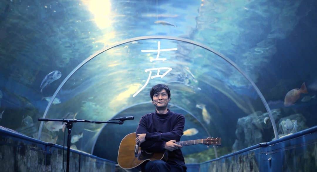 のインスタグラム：「閉館後の水族館で「声」を弾き語る。   めくるめく碧の世界。  おやすみ前の魚たちがひそひそとしゃべる声が聞こえてくる。  https://youtu.be/BSxST5HkznY  #にっぽん百歌 #しながわ水族館  #弾き語り #声 #森山直太朗」